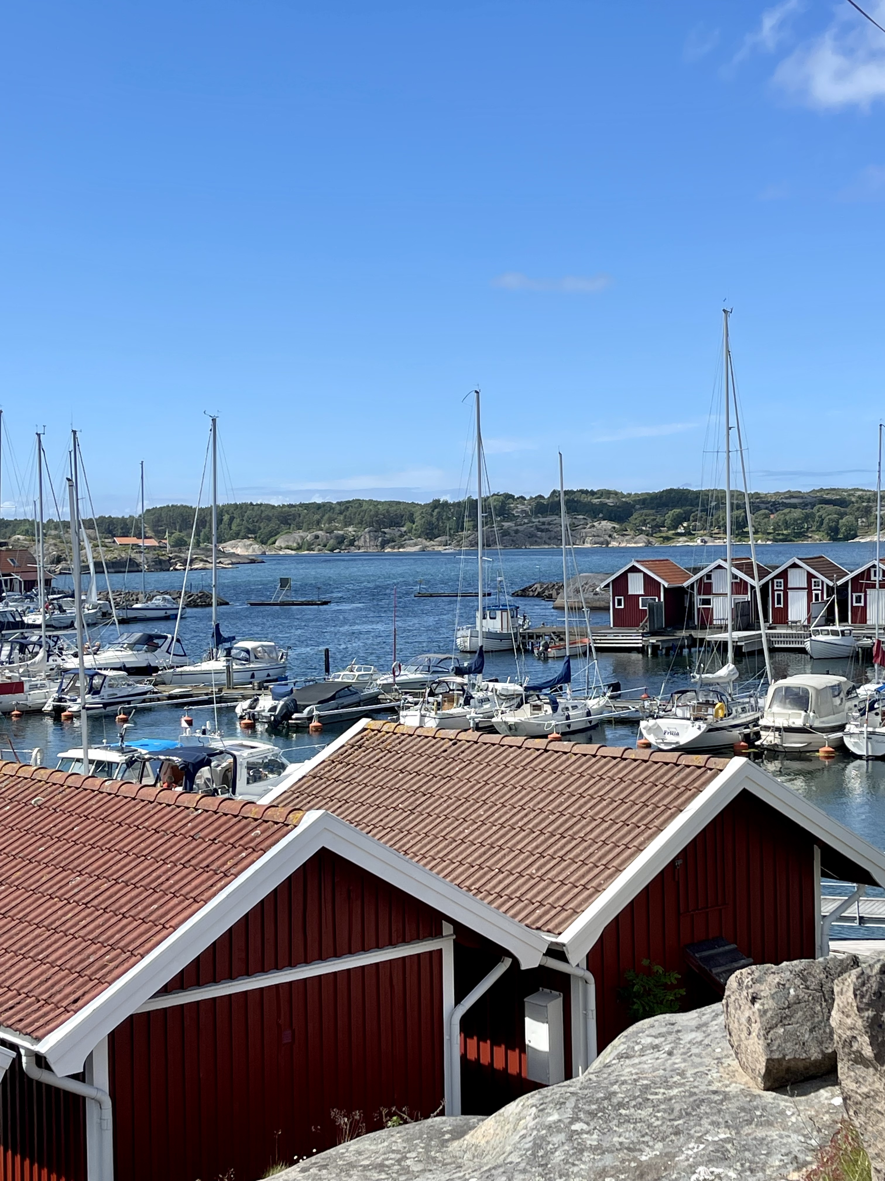 C046B066-9336-4D67-A4A8-8B78ABB87C02