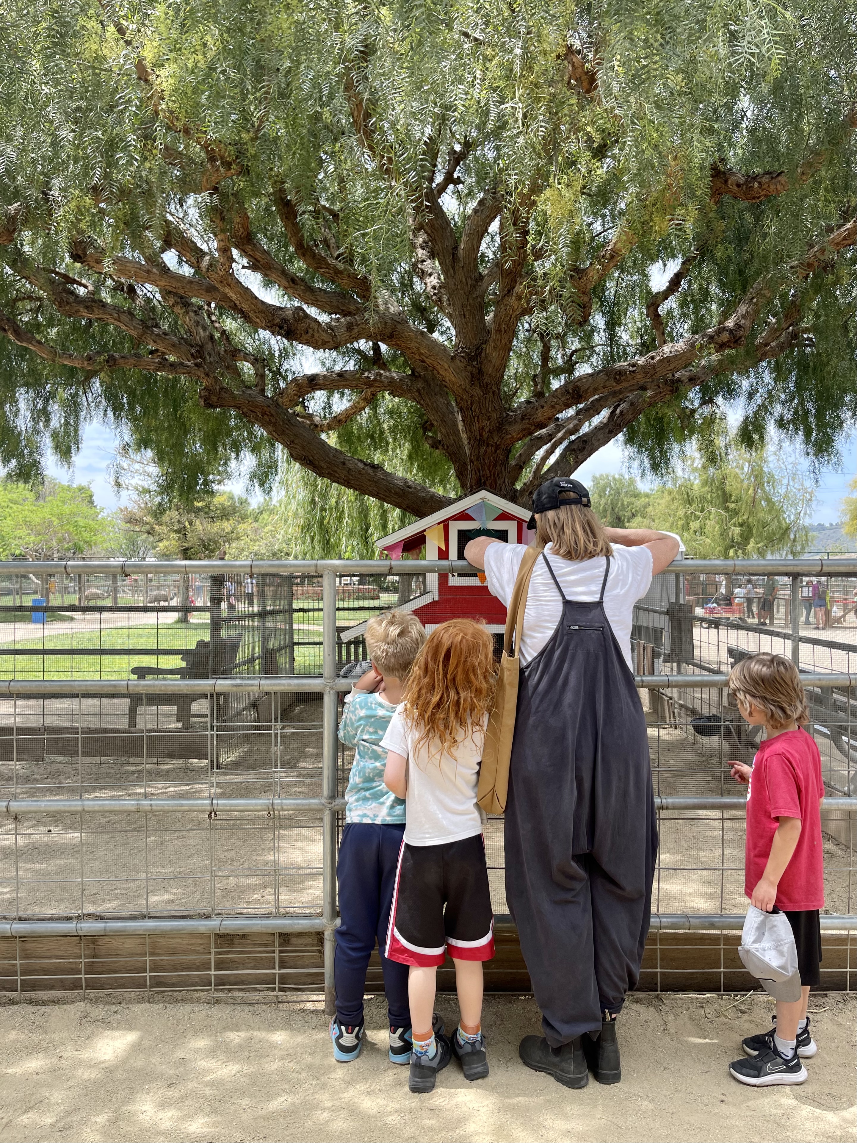 4E0EE307-0173-49A3-B20F-5C7E7AFCBC9D