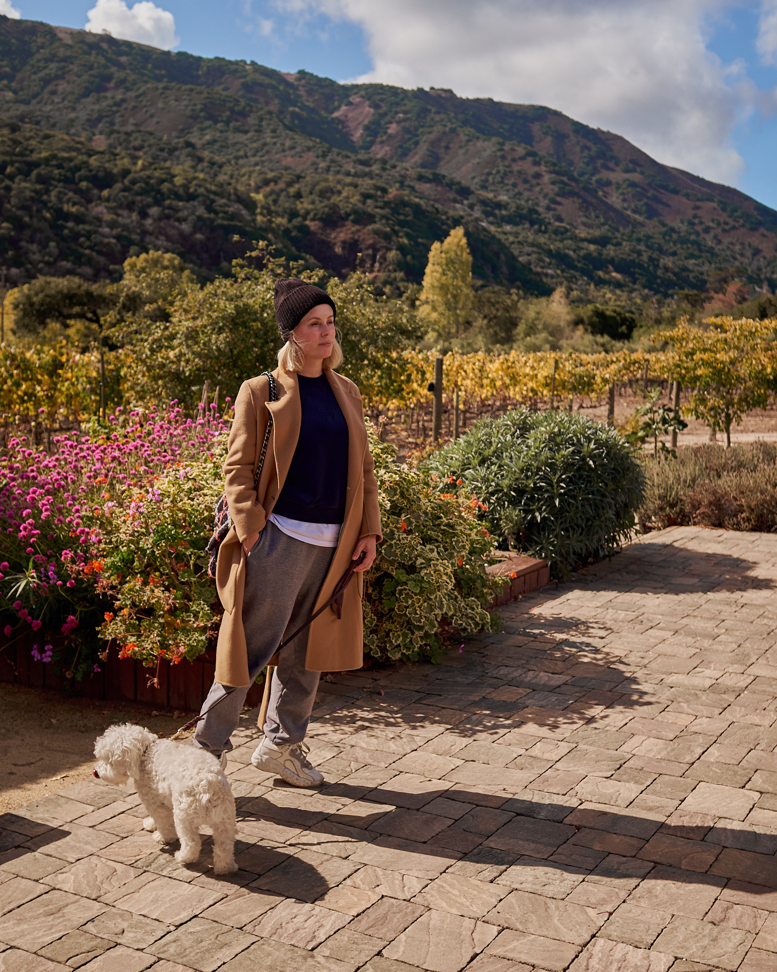 92FC1F86-4D90-45C5-B4D5-E3FADCCF012F