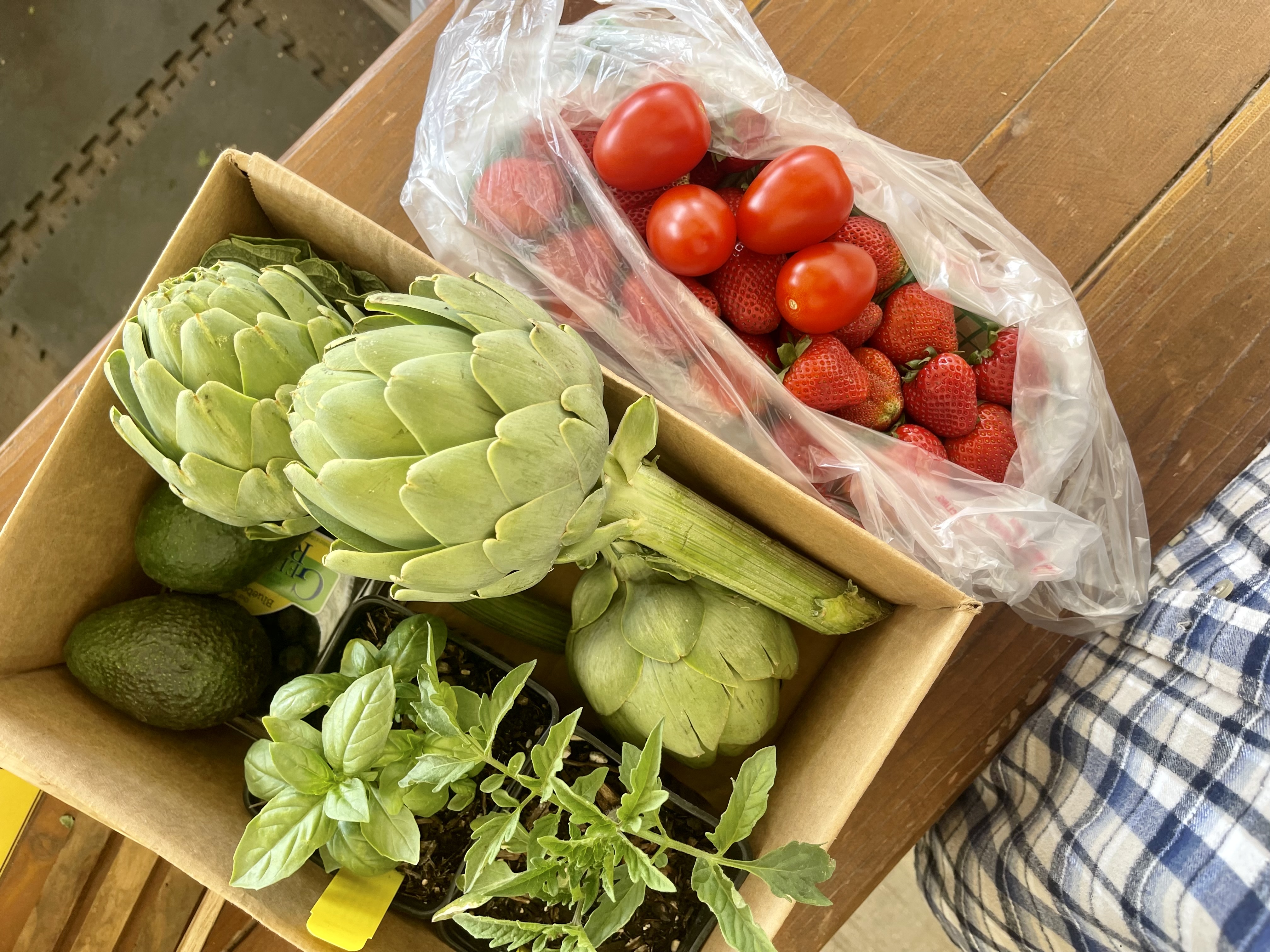 7D5734AB-EE0F-47A5-A0C8-8D755E181C2C