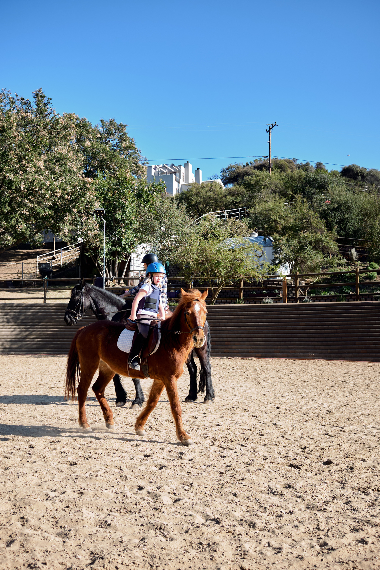 48232D0D-757A-4D48-9350-A29A0020492A