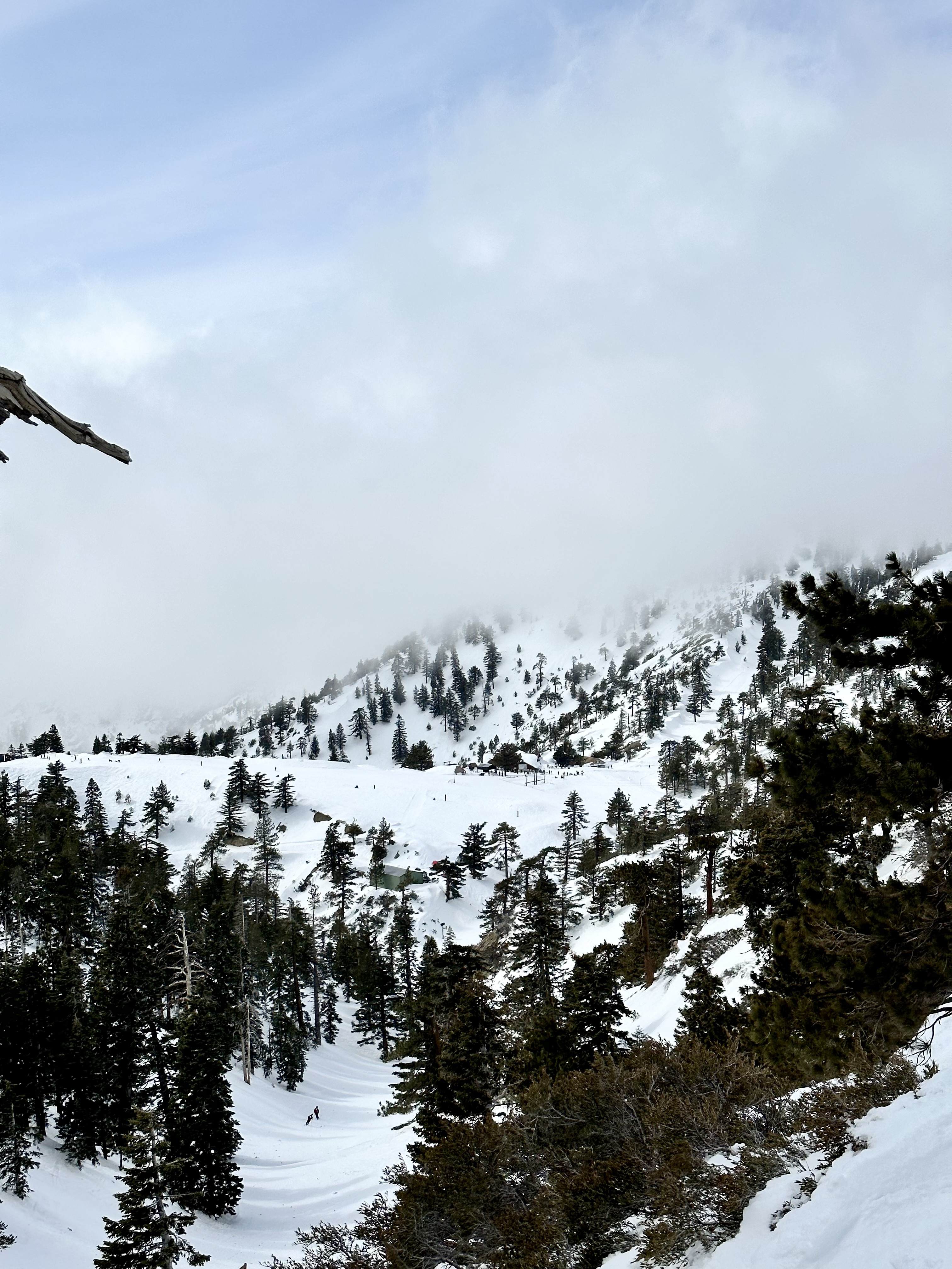 668B826E-51EC-46BF-99FD-250F35710100