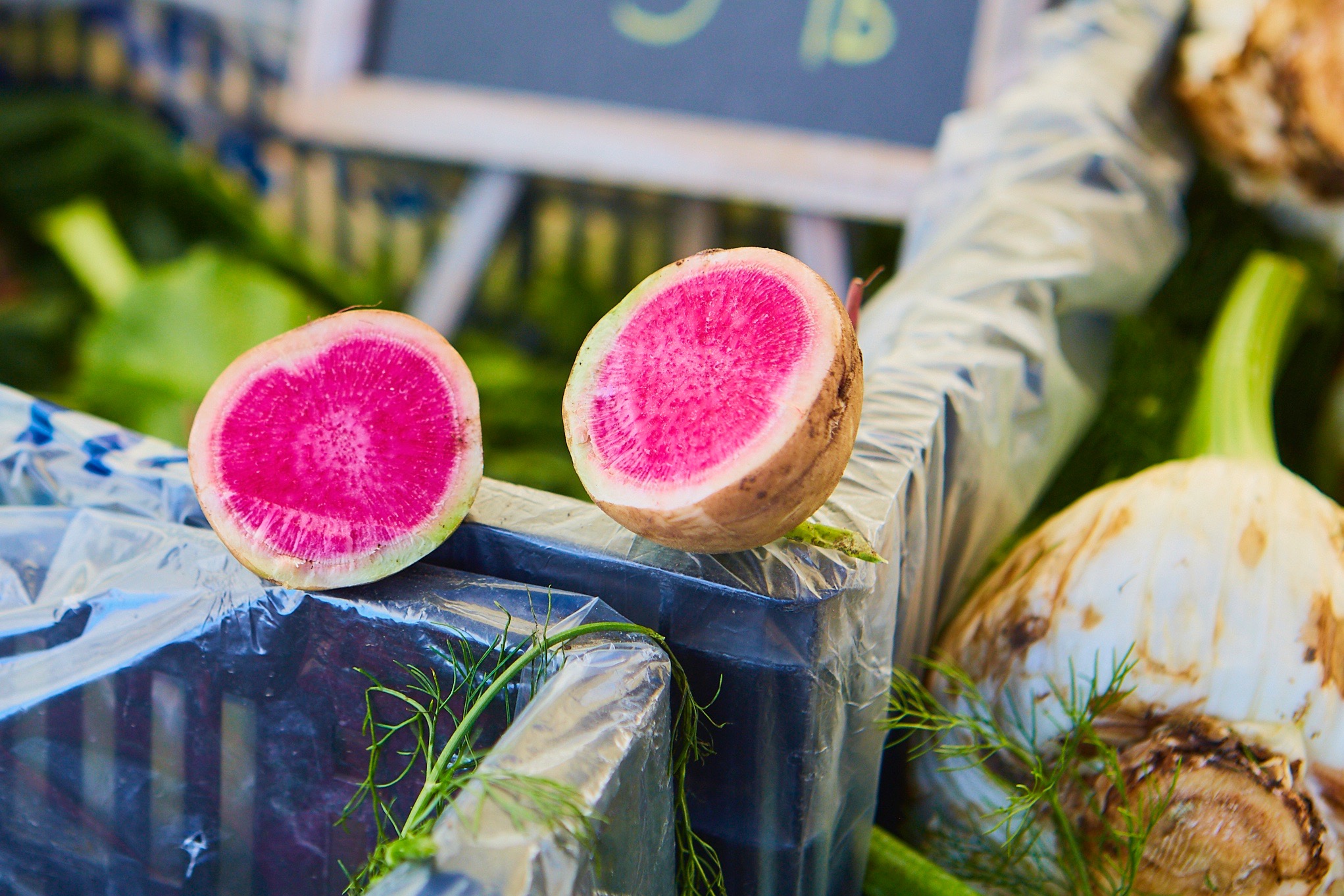 Untitled Job__S1_7511