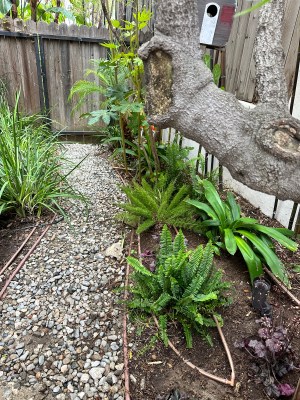 02E2E805-31D7-404D-8857-B3199789F490