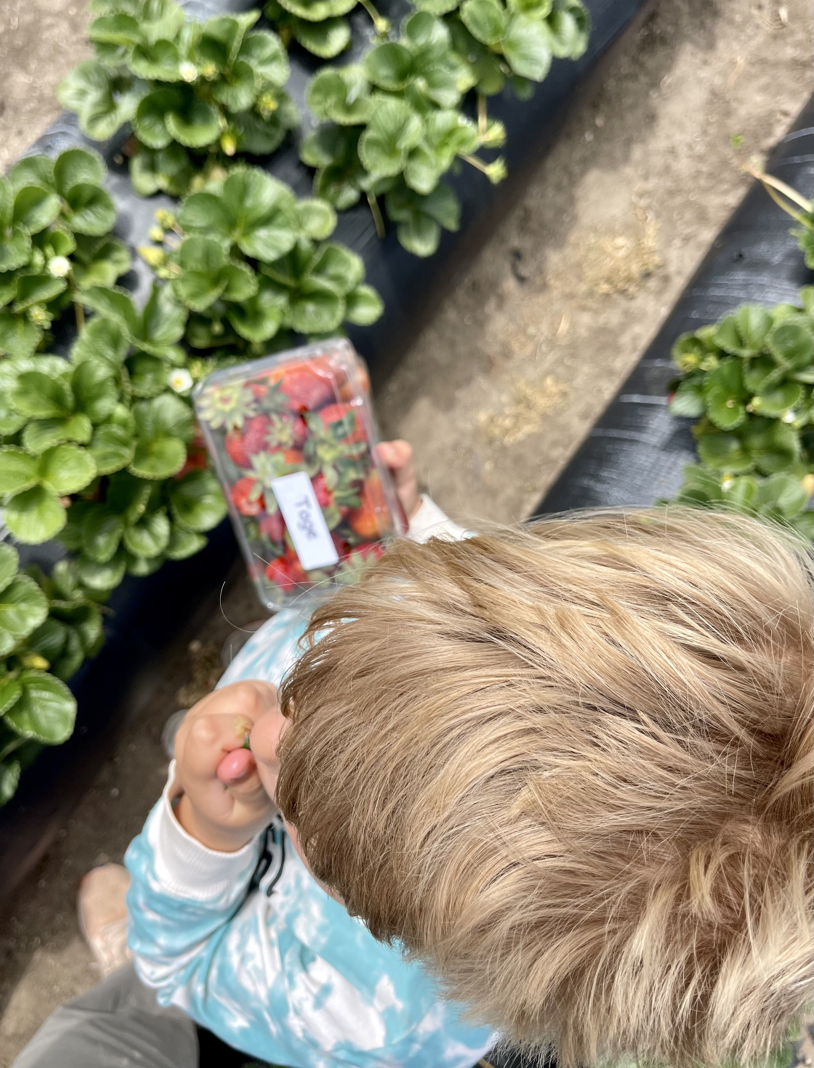 082AF877-0870-4F7F-8940-3CC88C45507B