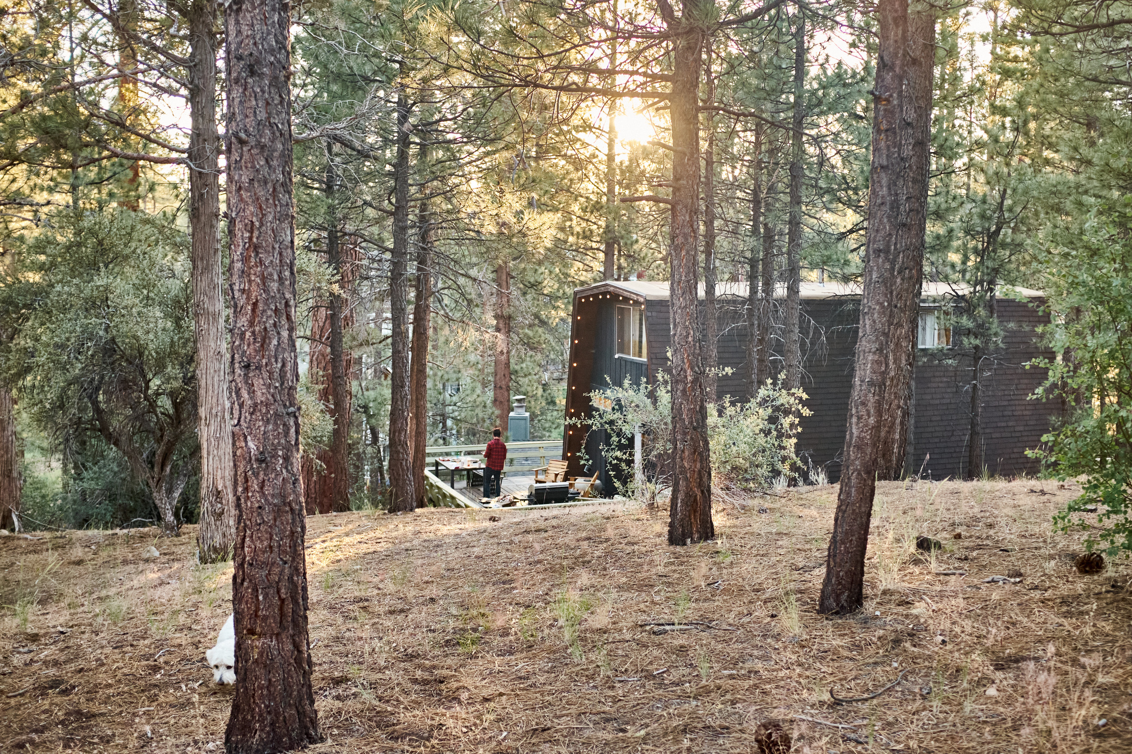 04A3235C-1ADA-4A52-847F-989A53EBCB7C