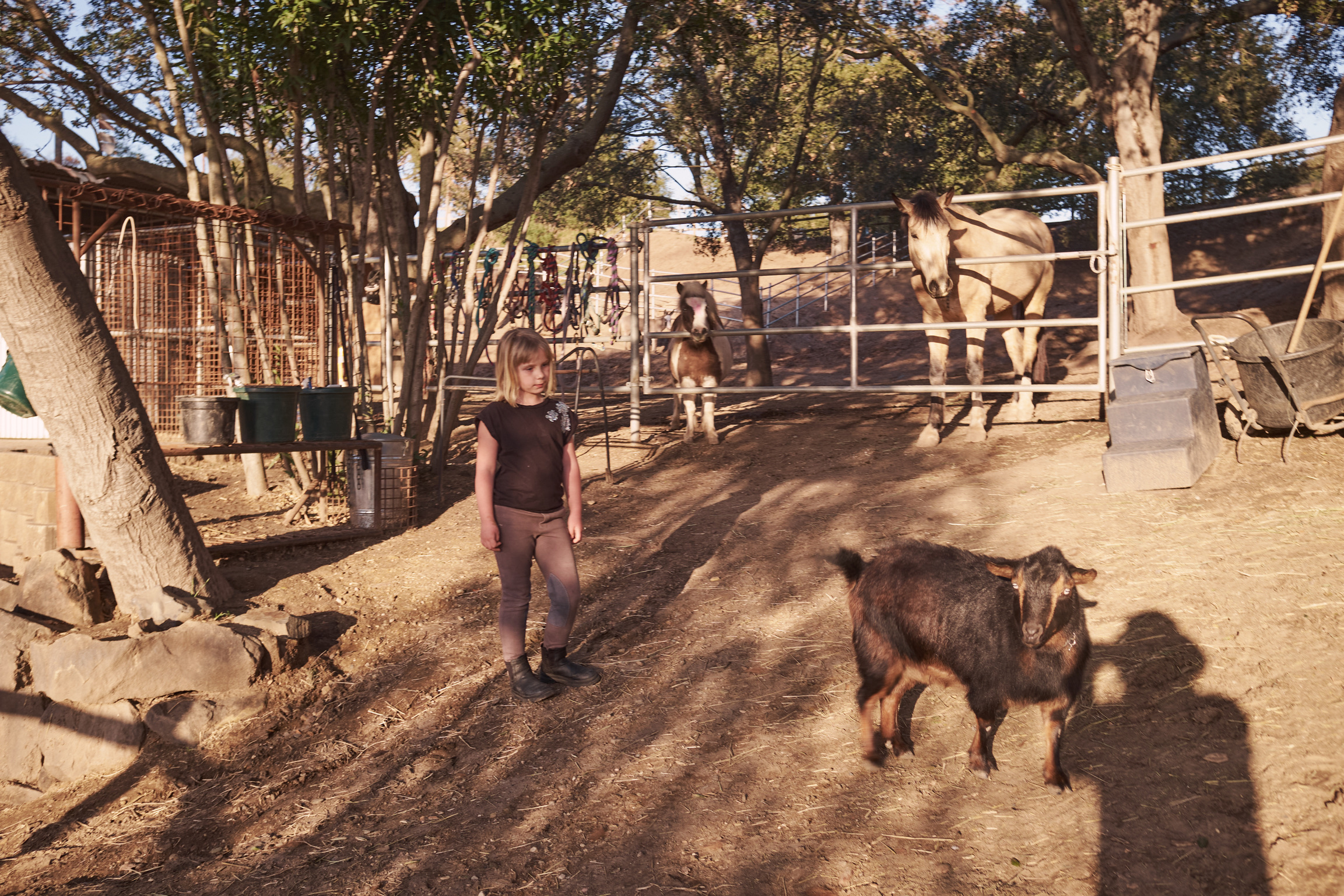 767CB934-849F-452D-8D12-1A68F4F2D136