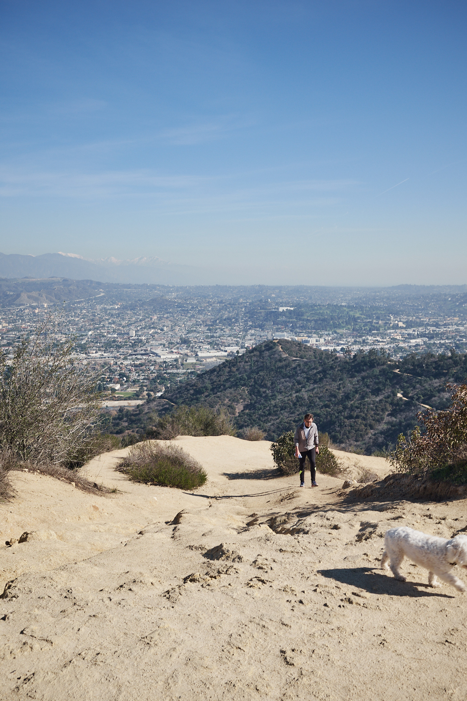 ACA0A4B7-374C-488B-8C63-D300D9BC6848