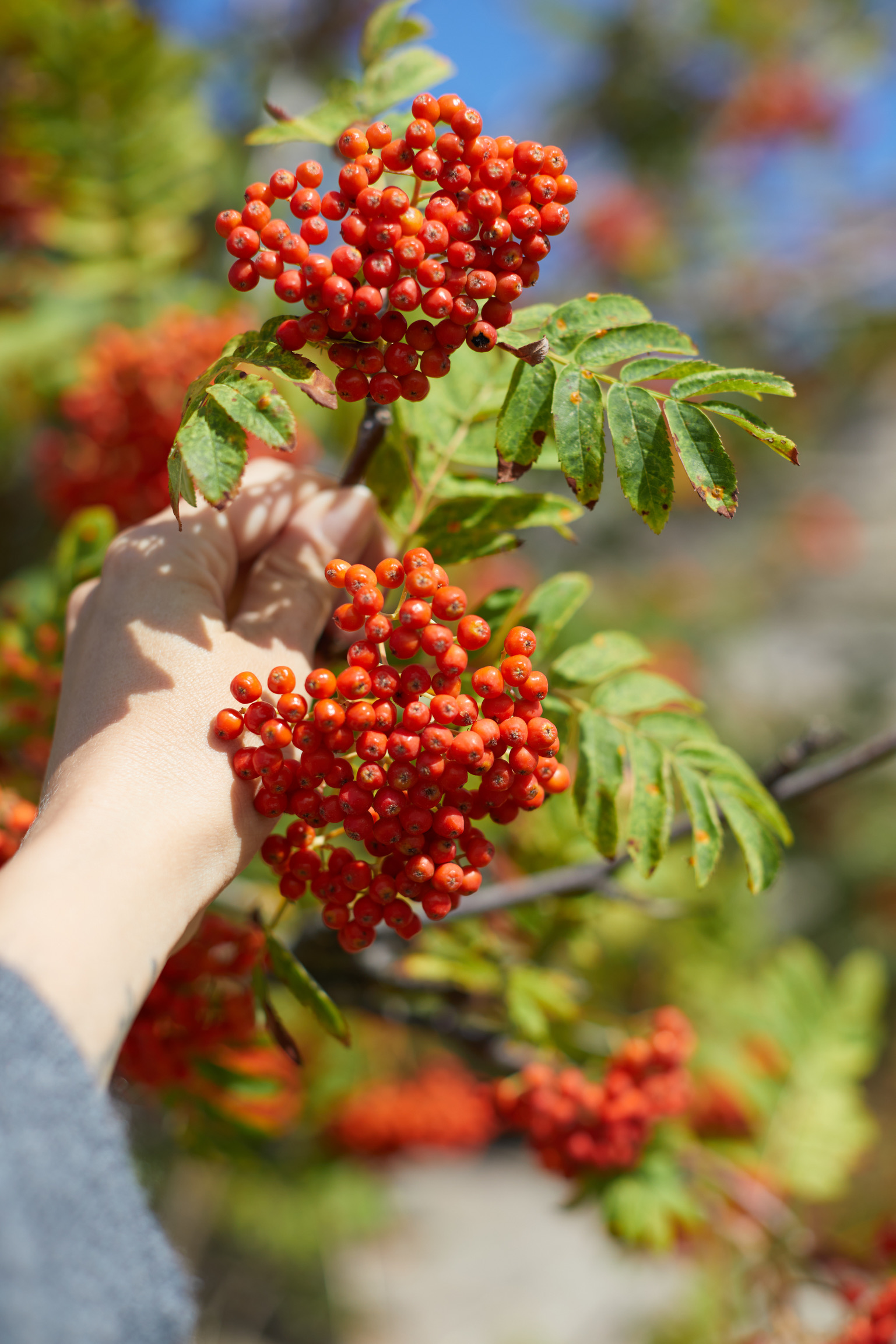 1F9D90BA-B553-447E-8B08-E85052B600FD