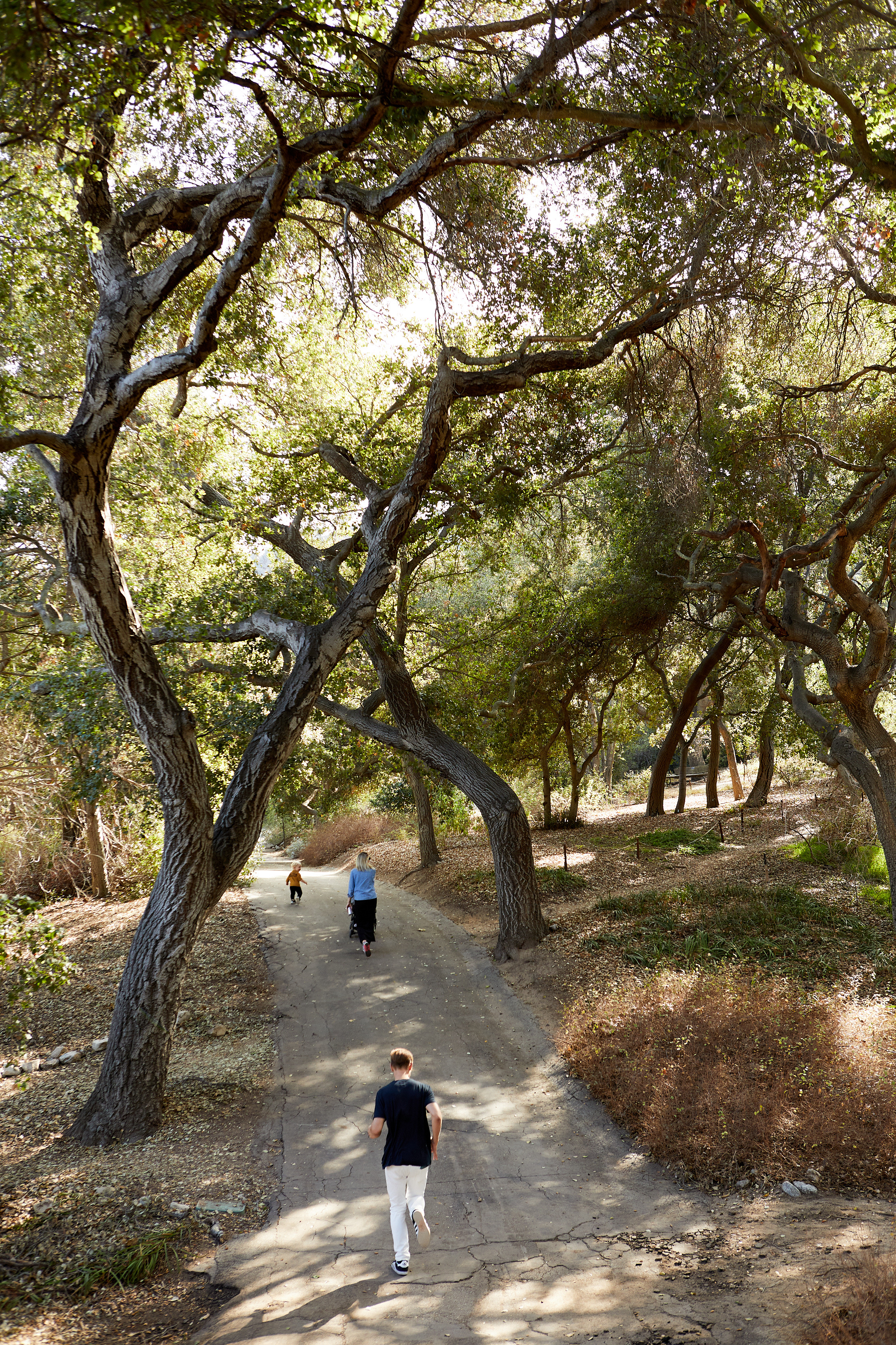 2BC0FC41-405A-4F90-B090-BD6FD440A86B