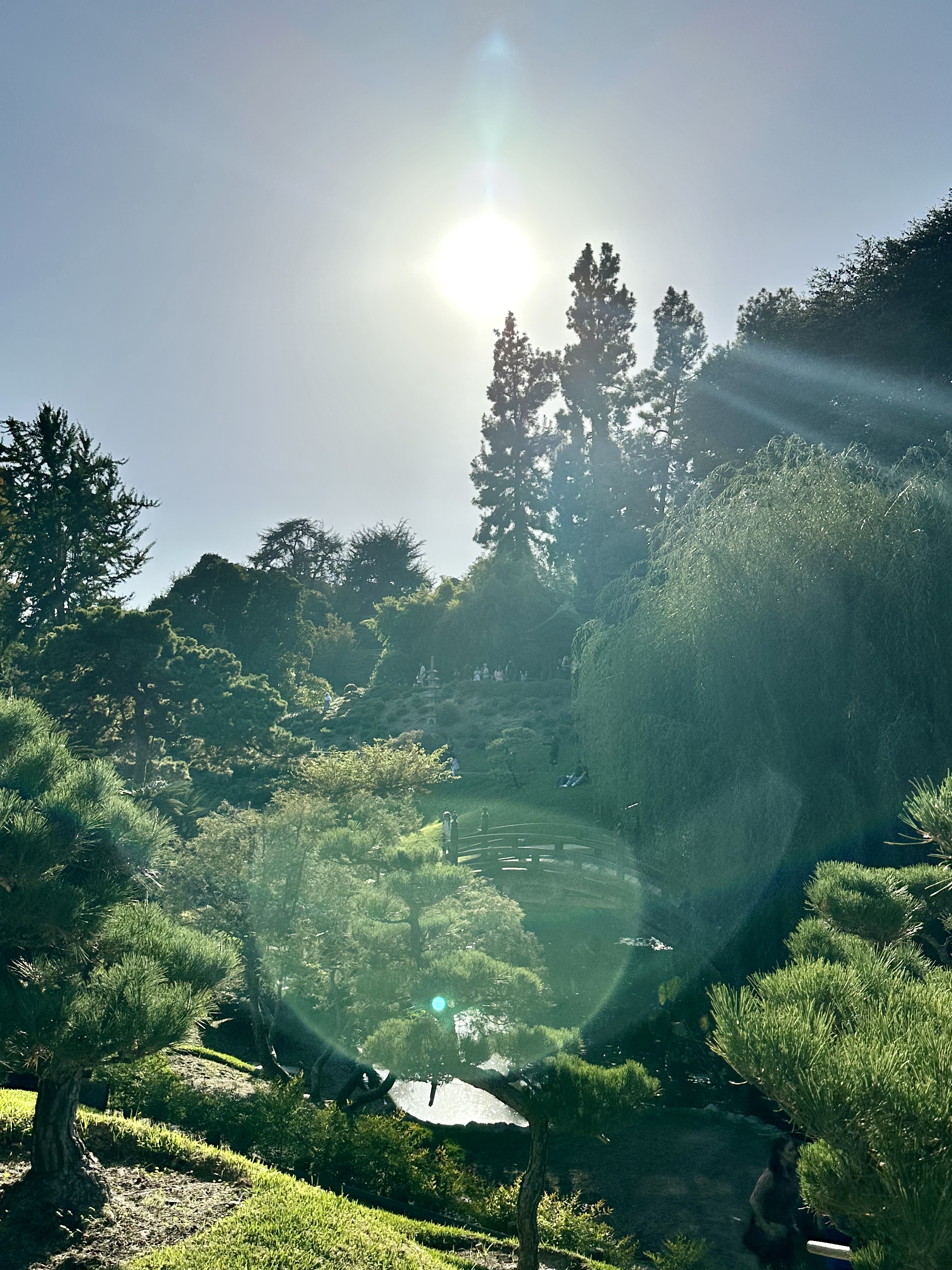 CDE0468D-EC01-4D32-BF4B-852909FC9BDB