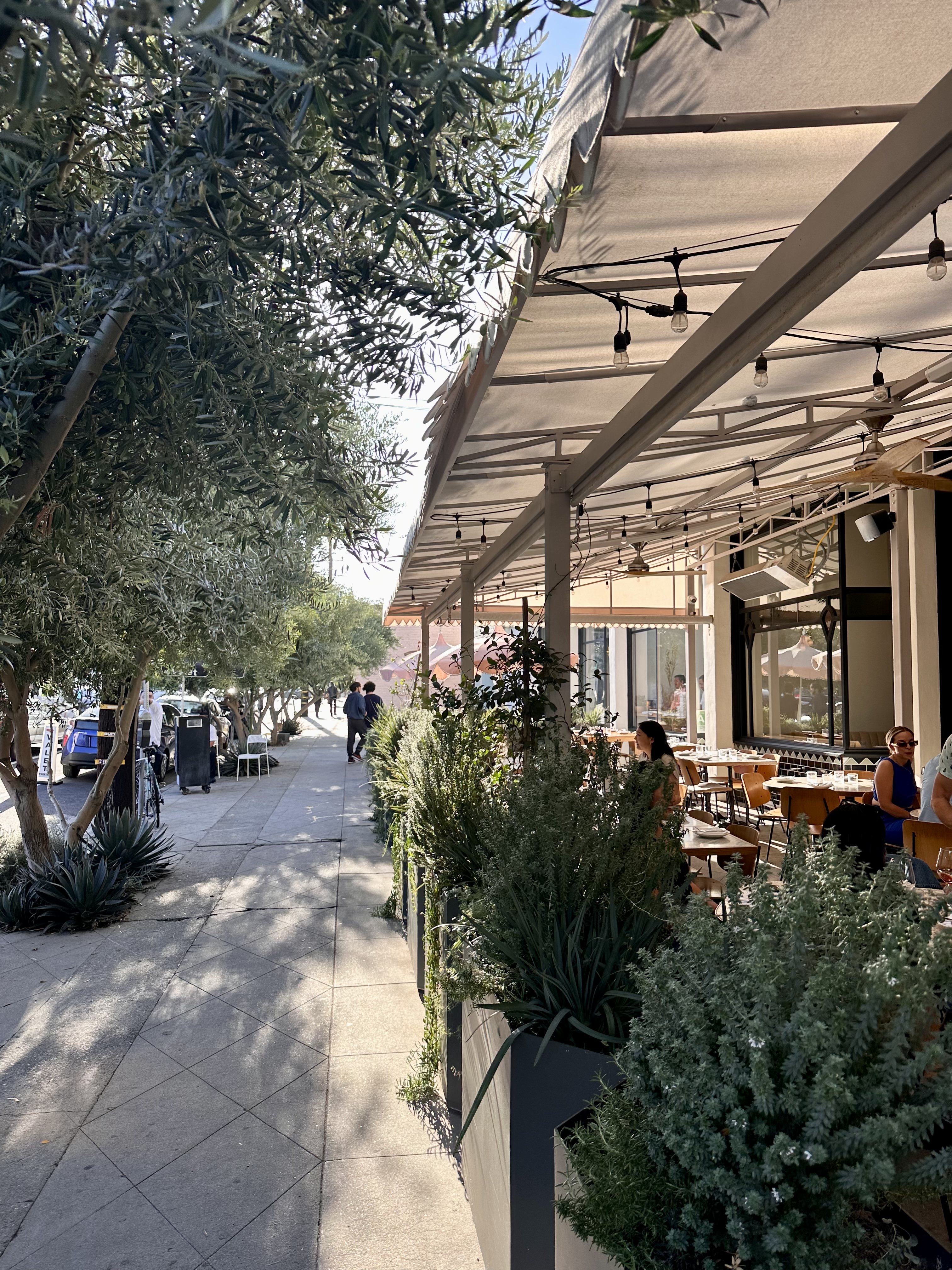 5A812A17-B05D-41BD-AAD1-E61A6DCC9DF4