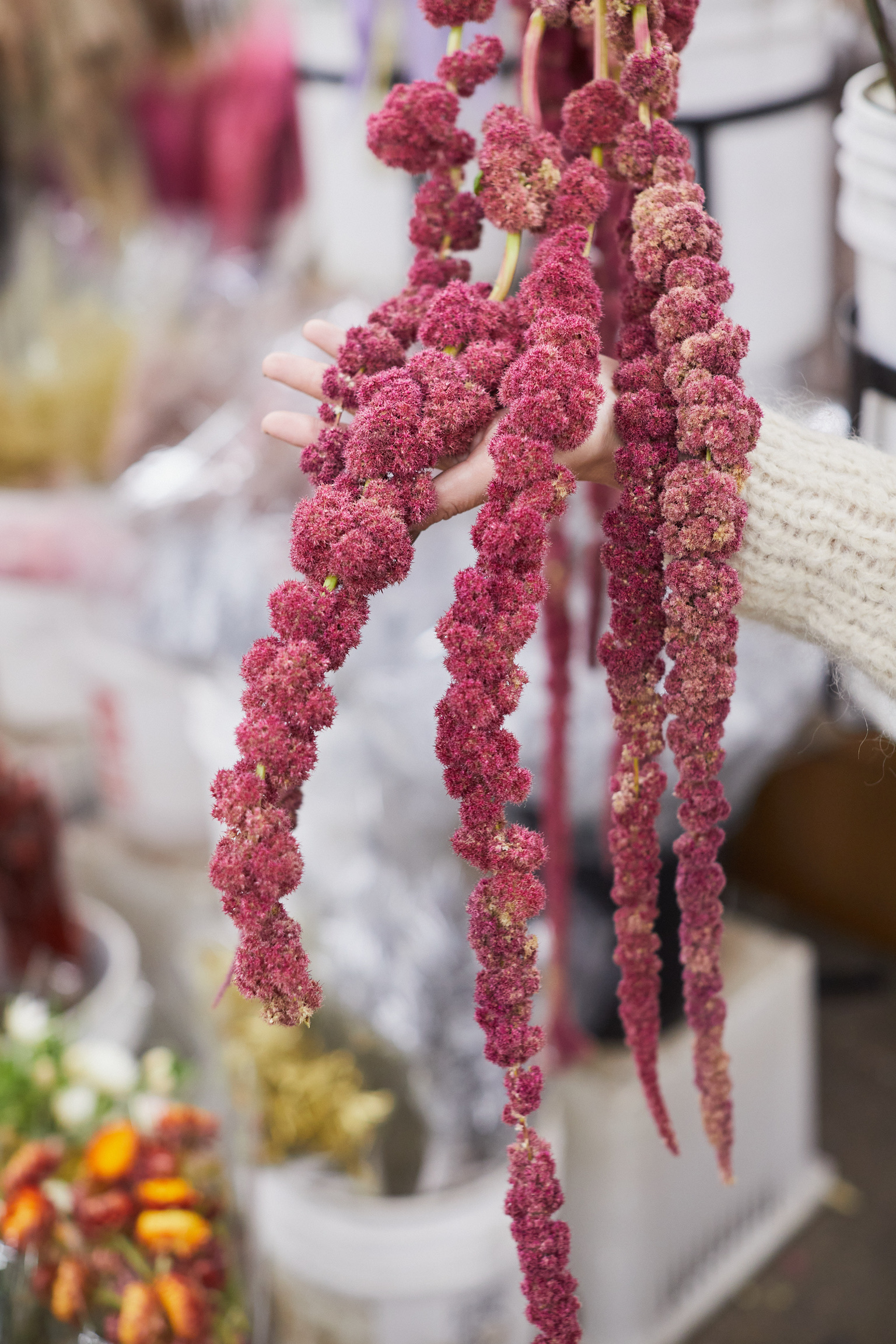 3793D5AA-31E2-4221-A3BA-24C8F2A8A615