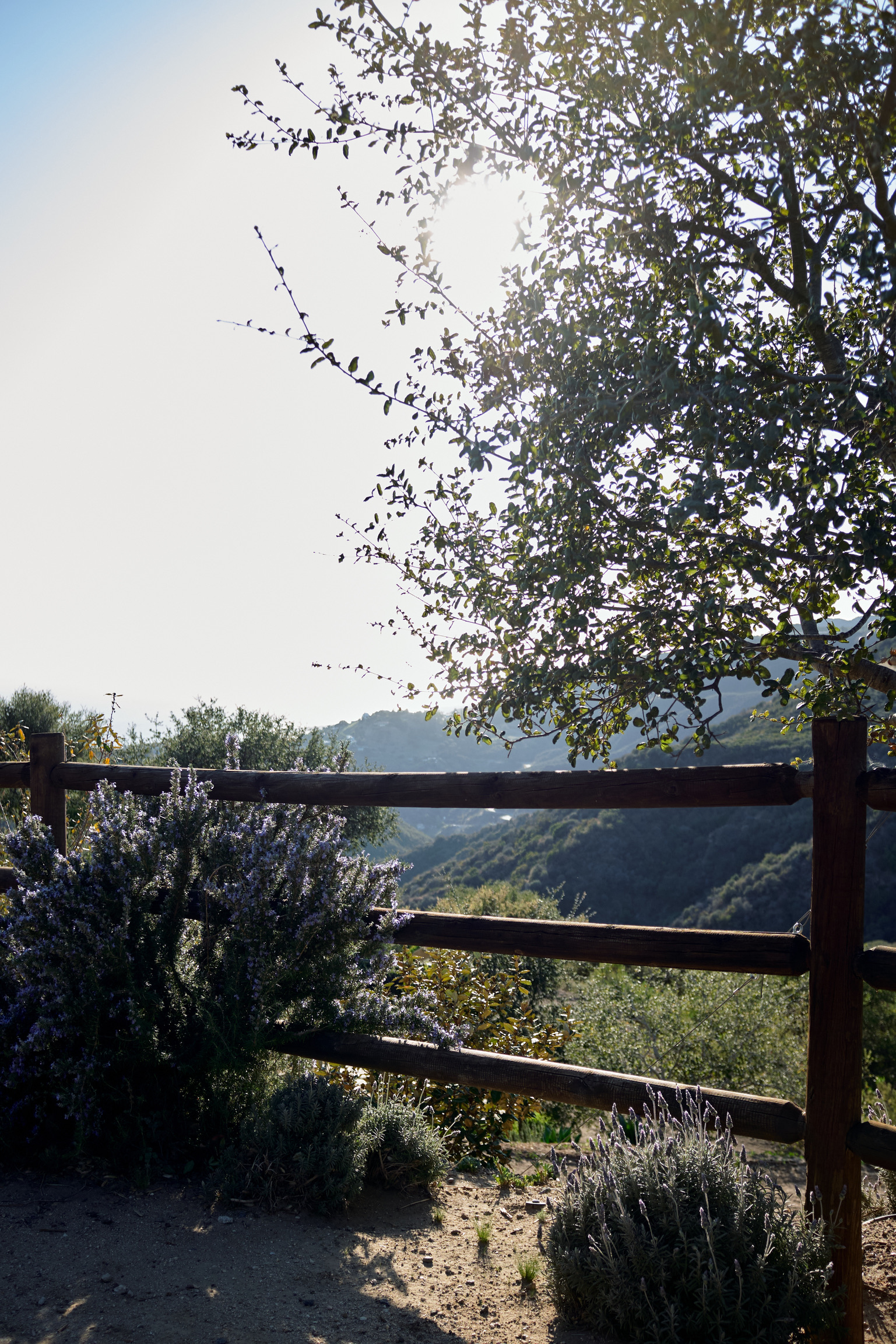 C5328B51-1464-4008-9266-A0B570D21695