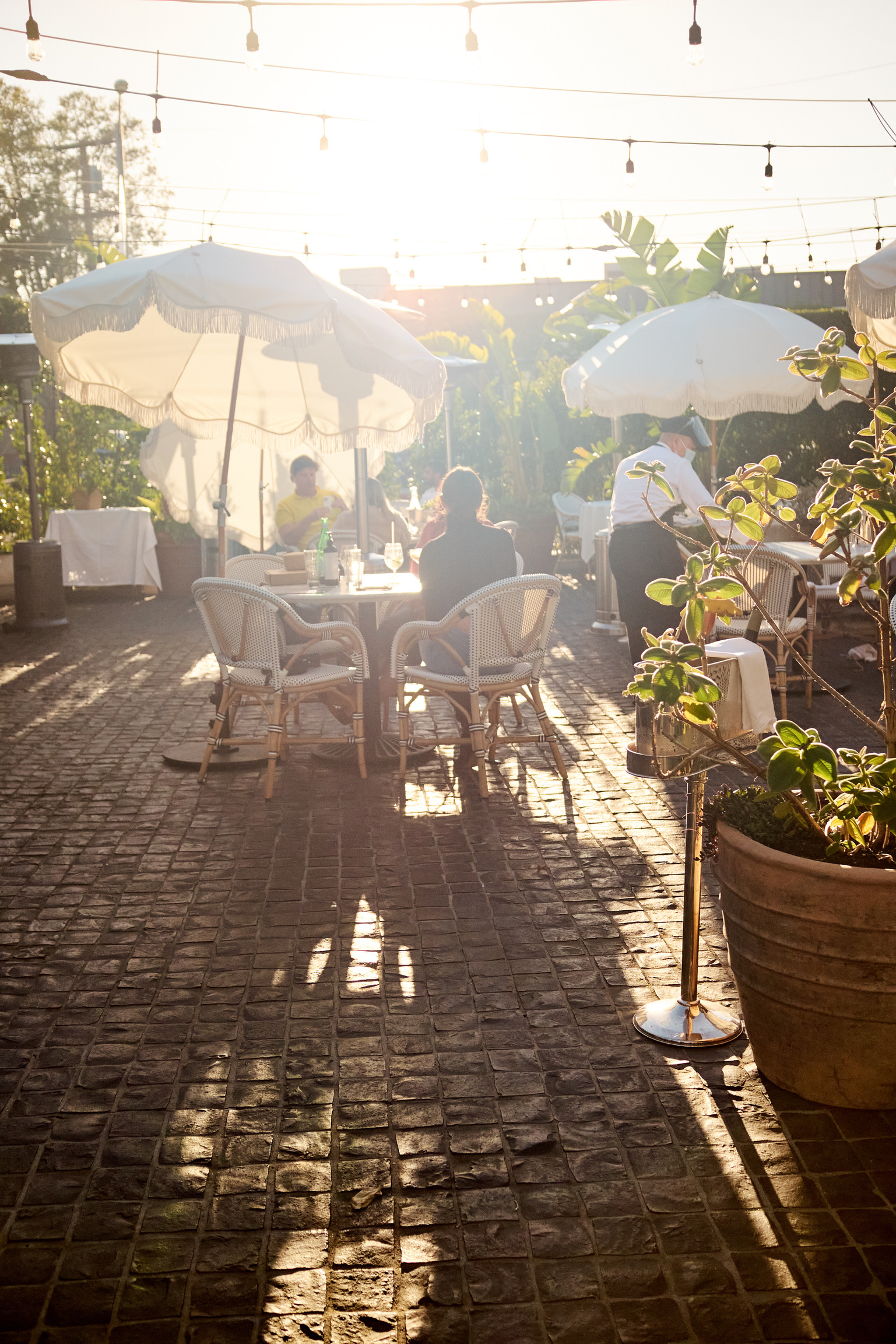 36D786DD-27EF-499F-B88D-F70ABB9AA0B2