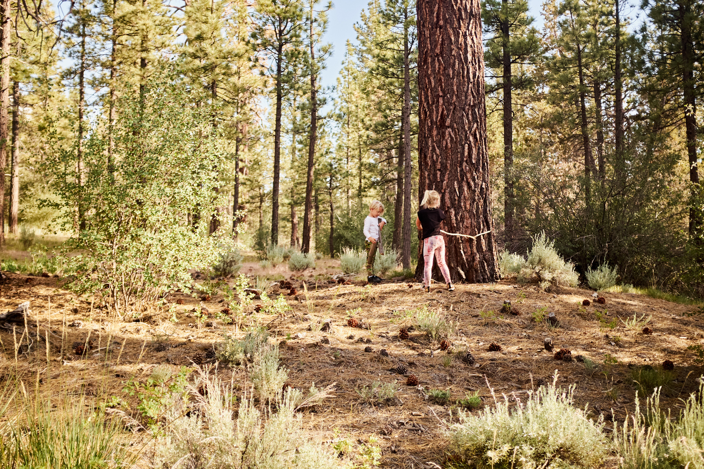 CF12C796-1AA8-4D0B-A536-CE06F0F8804B