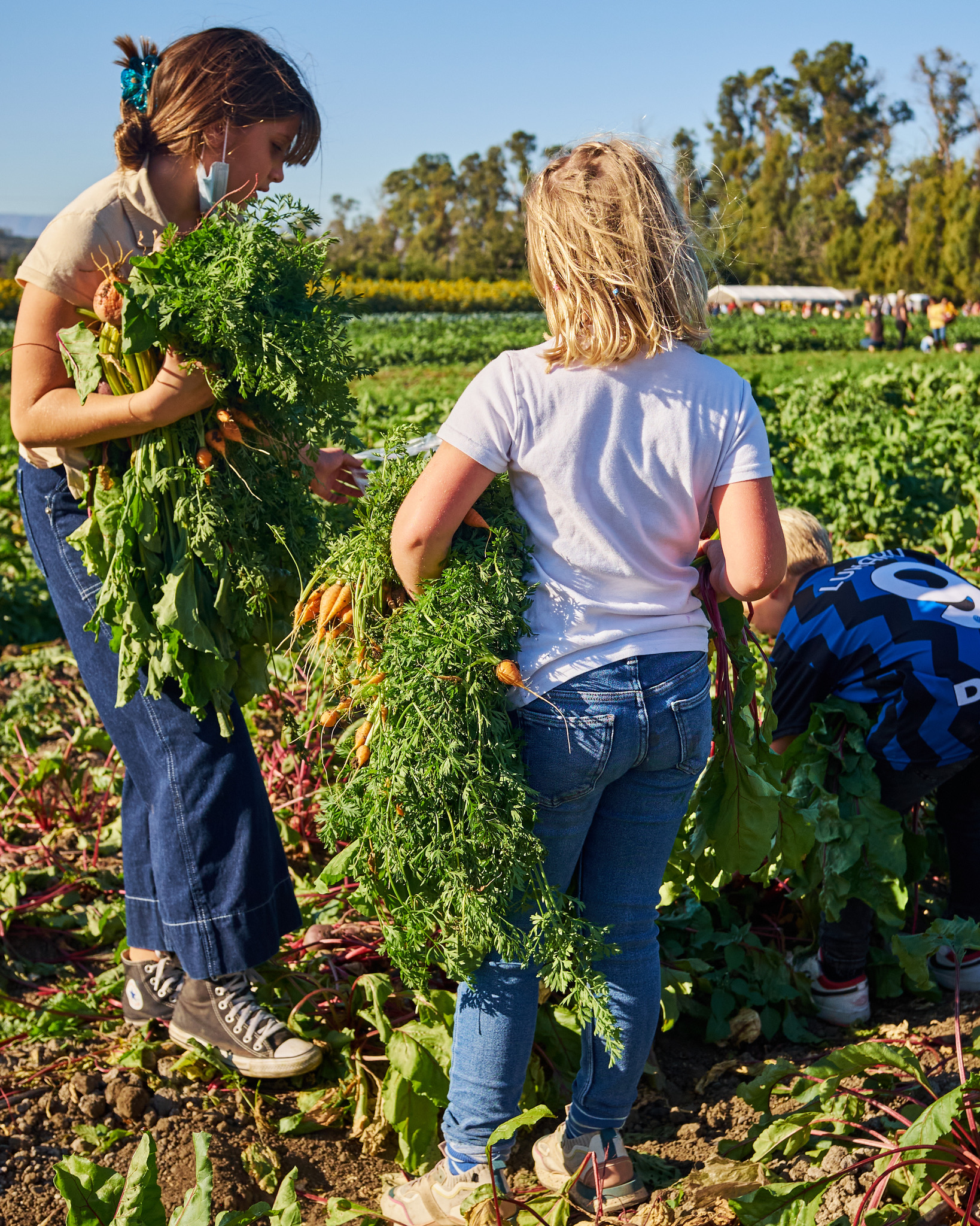 B33B86FA-4263-44BE-AD42-4C2F913CF317