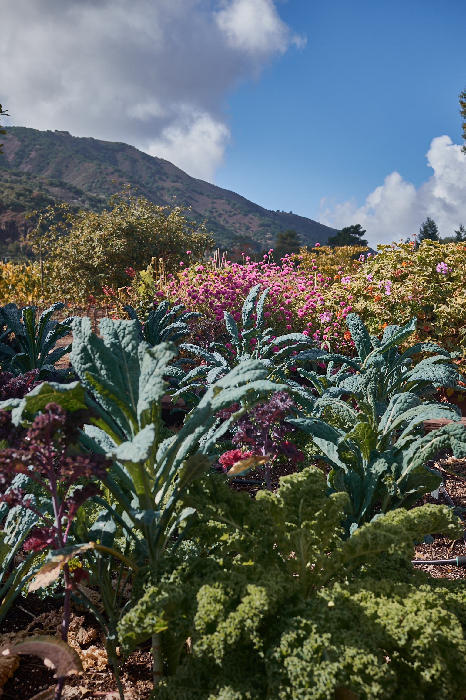 147D47D6-A4B5-4B15-A257-FE68A7E598E3