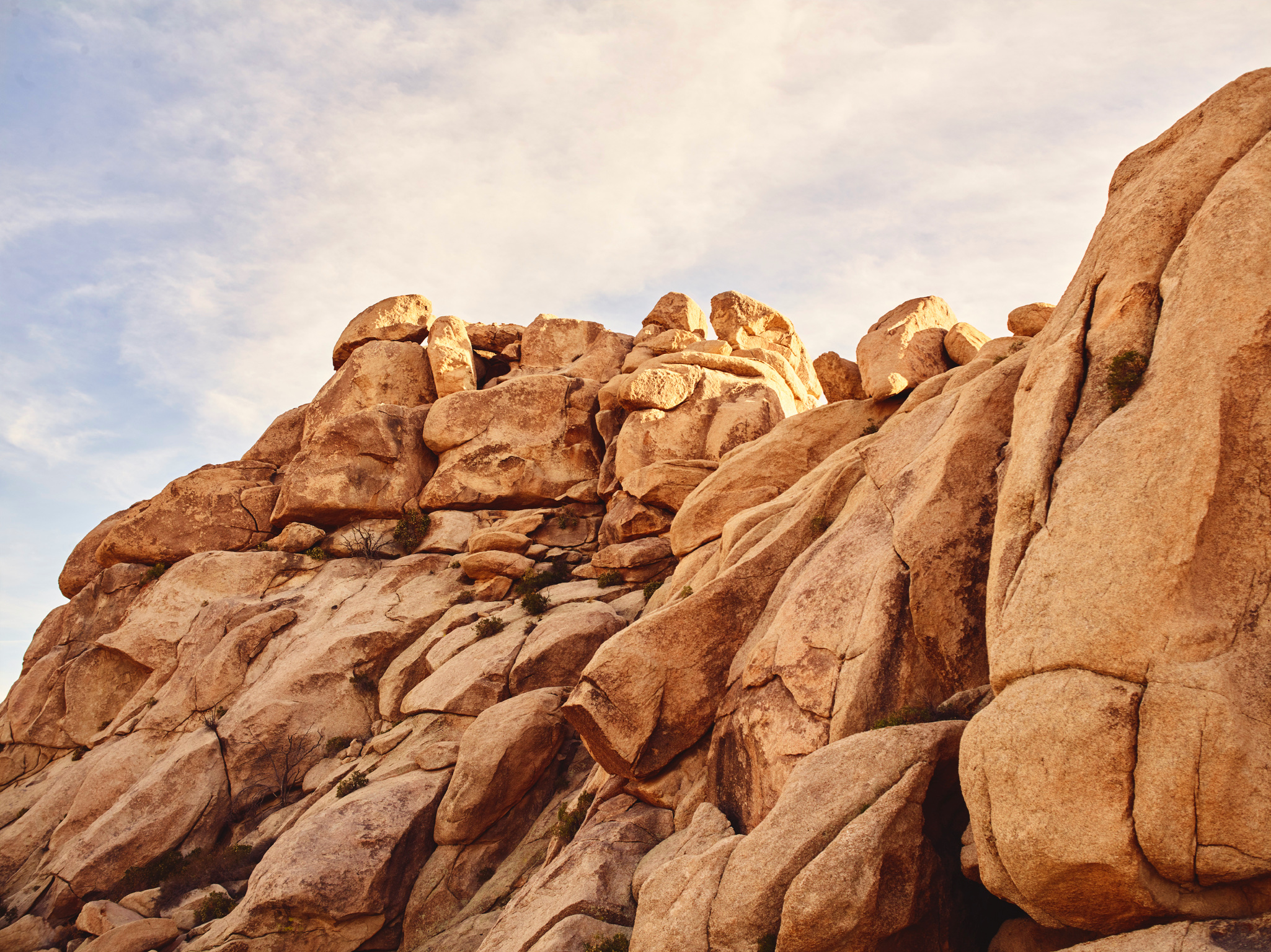 7BFA047D-8609-4BFC-A160-4AA87D9E1D2C