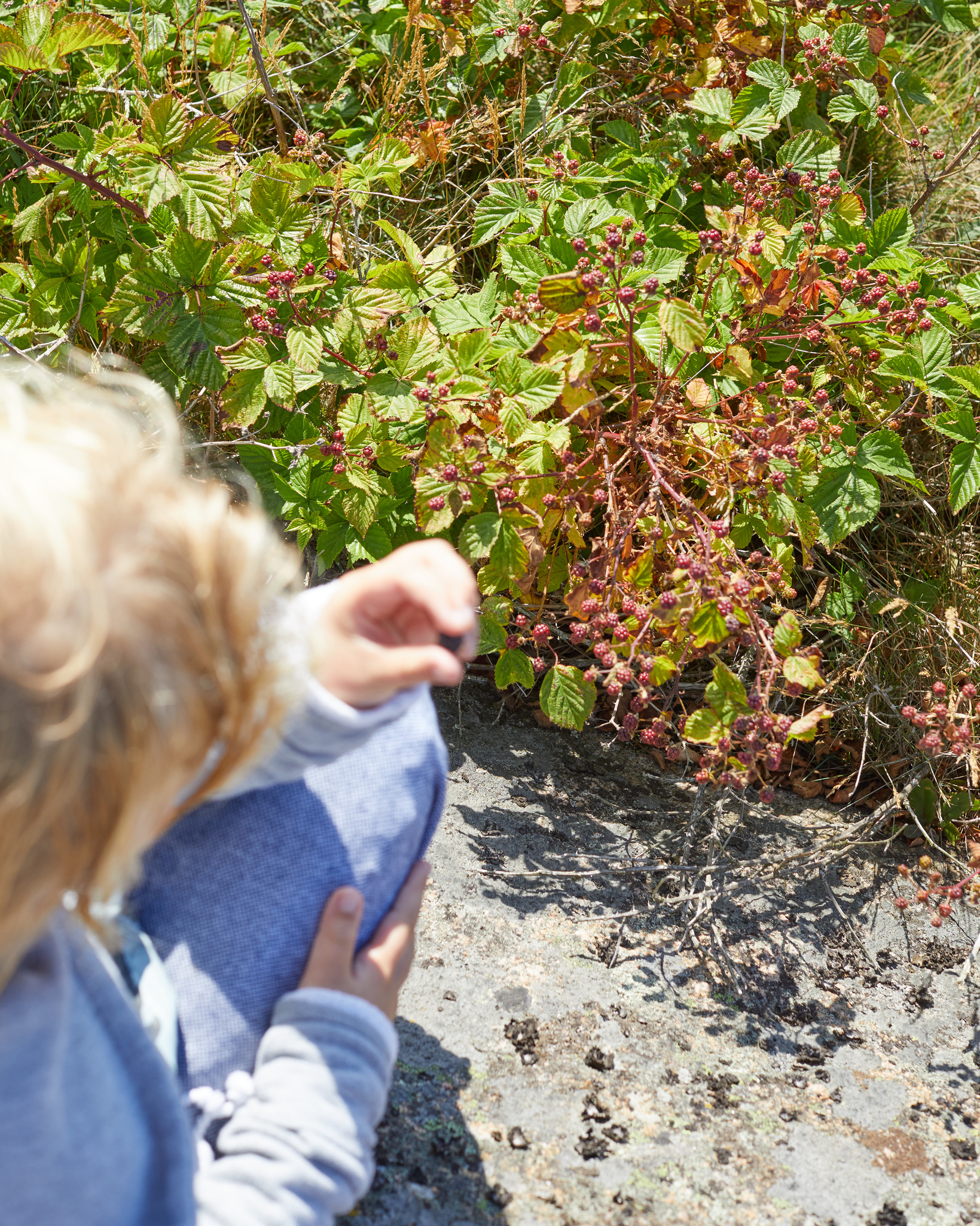 4B0828DC-05DB-48FA-97DE-DA03D77531D4