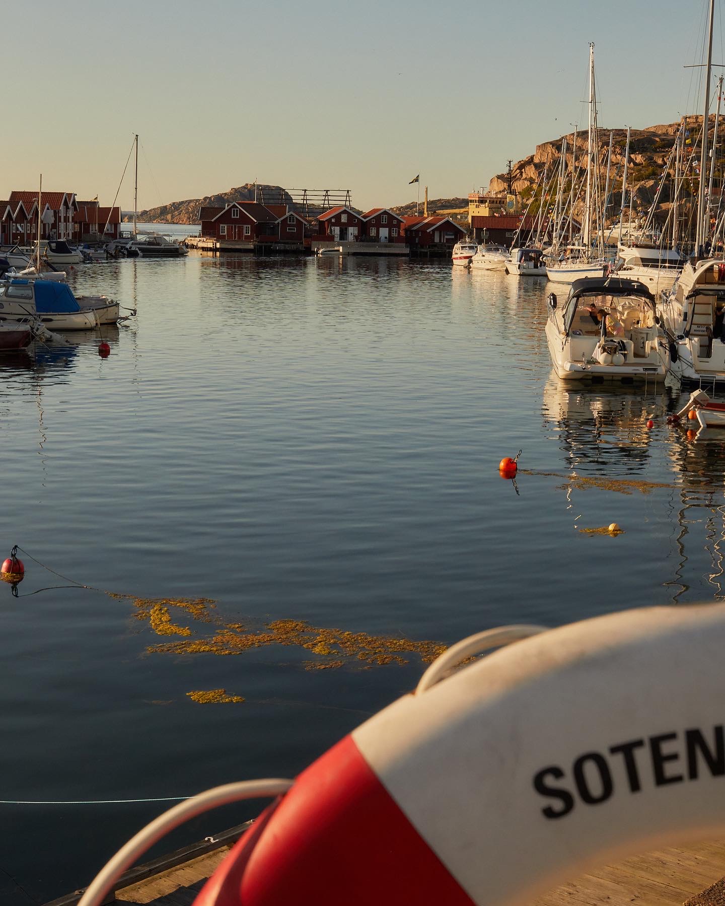 CAA62907-D8C0-46A8-844A-31BA81FDC923