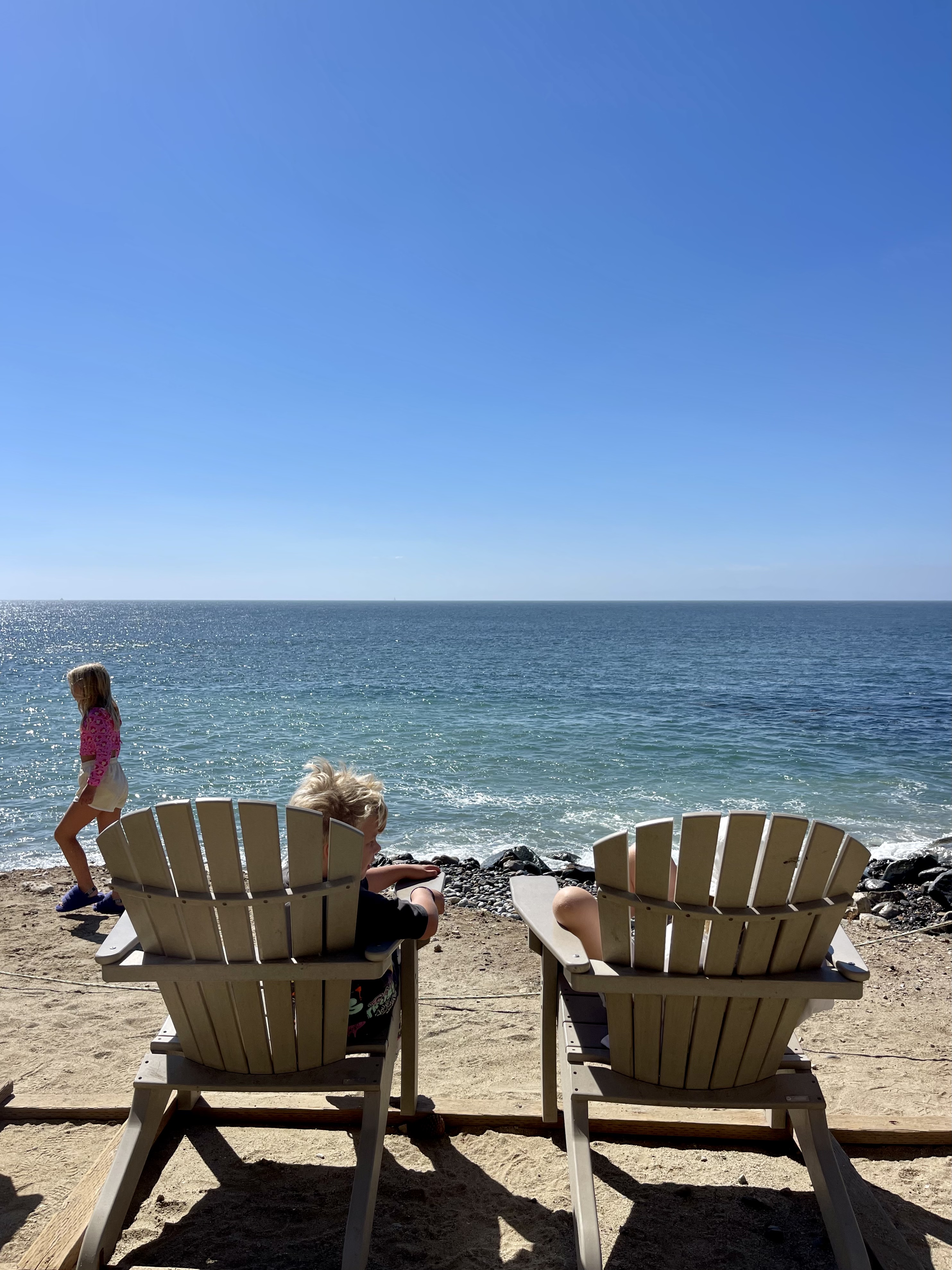 50151CB0-4DF9-4EA2-9643-93EE09CC604D