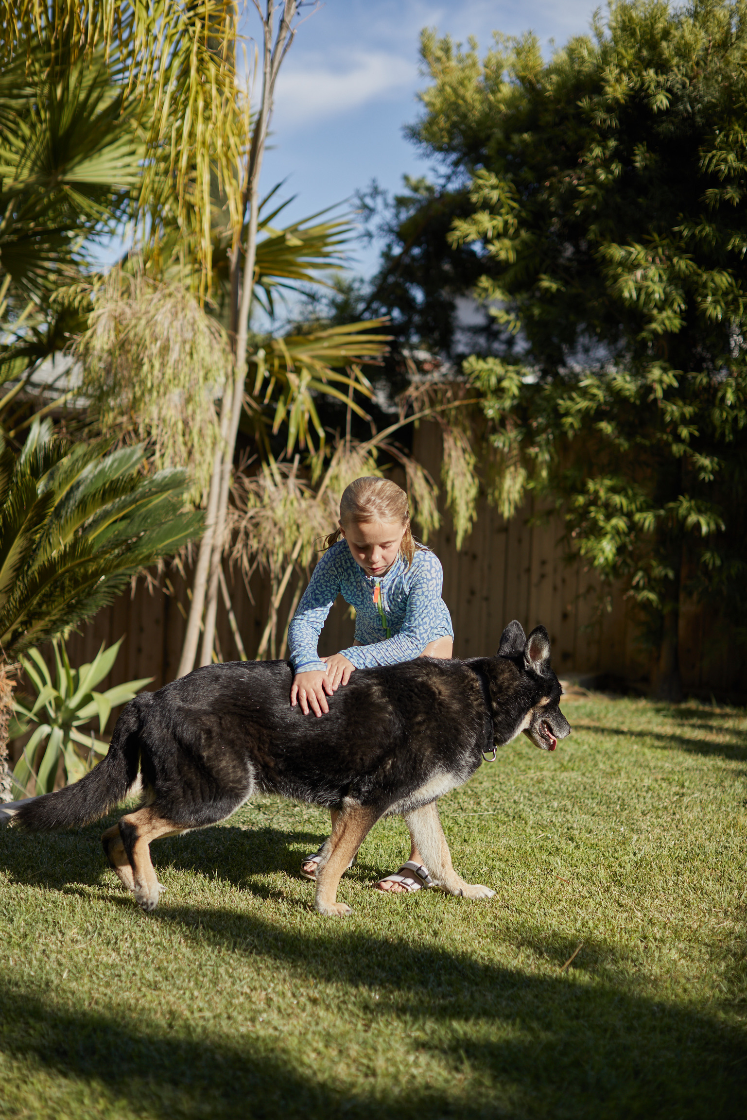 F9A34B45-1442-480B-AF0A-FFAC2BCF4FE3