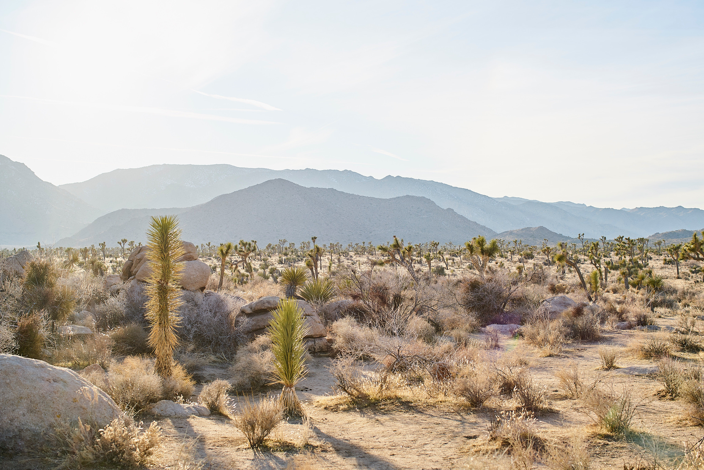 0EE34E41-2C16-437D-A39A-222290CE9E14