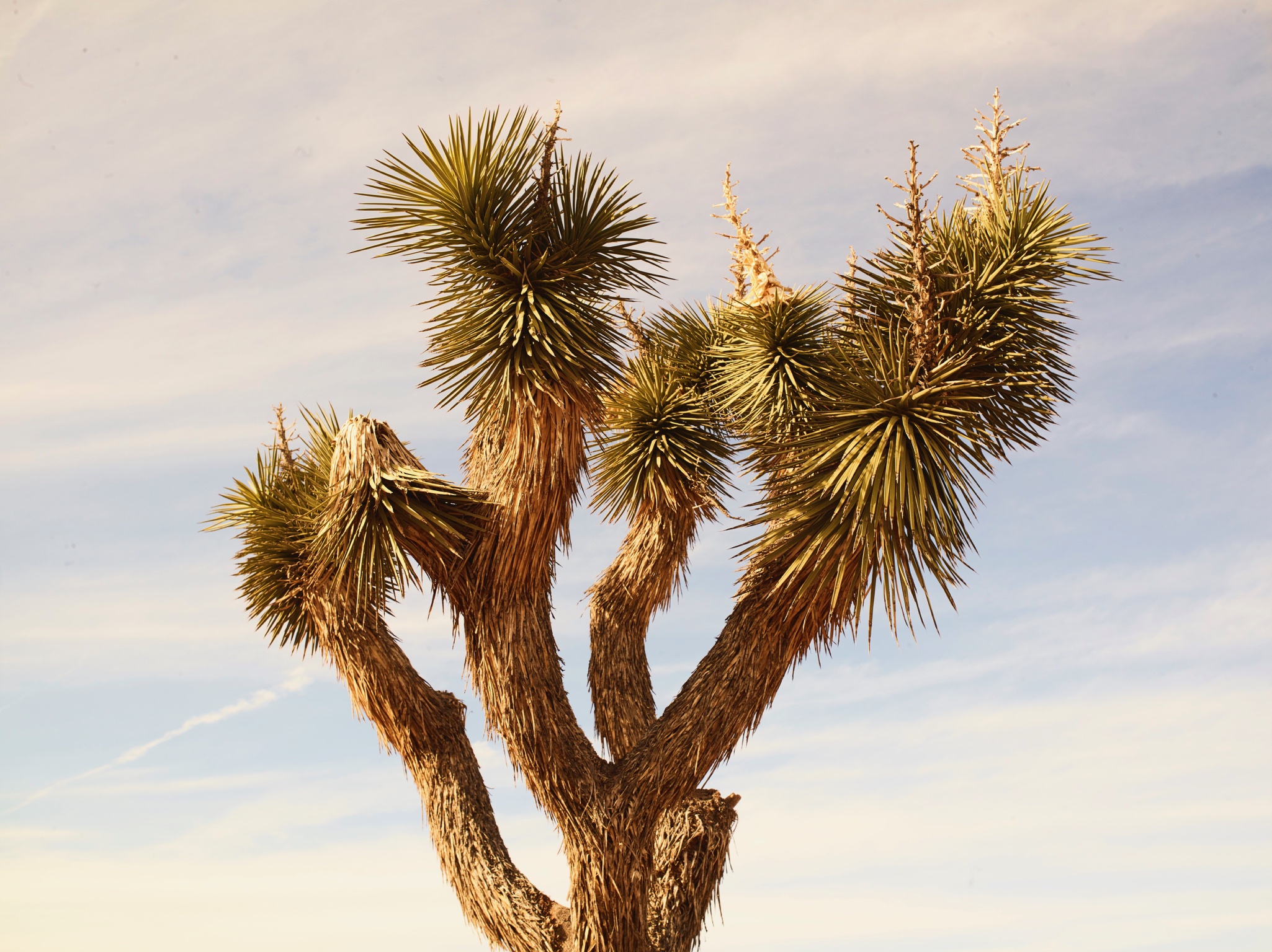 3582C07C-A7A5-4969-B84F-1690A4BA8ACE