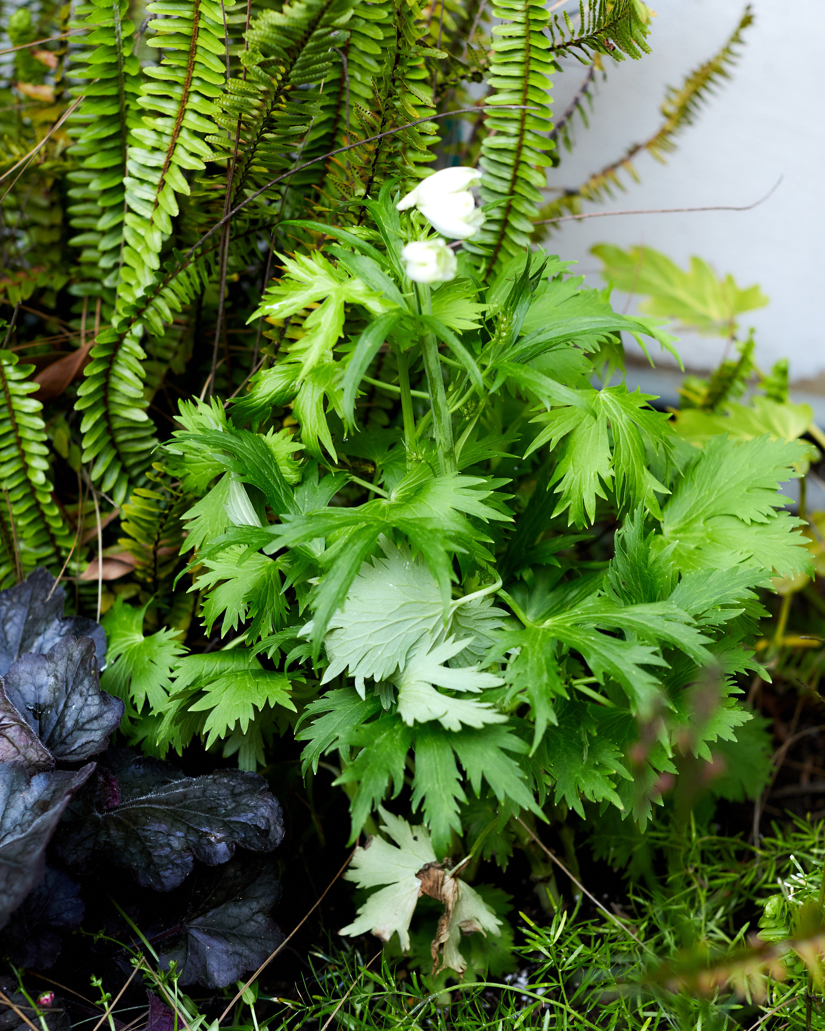 64BCC8B2-1E38-4276-9DF2-CB5420CDD6F2