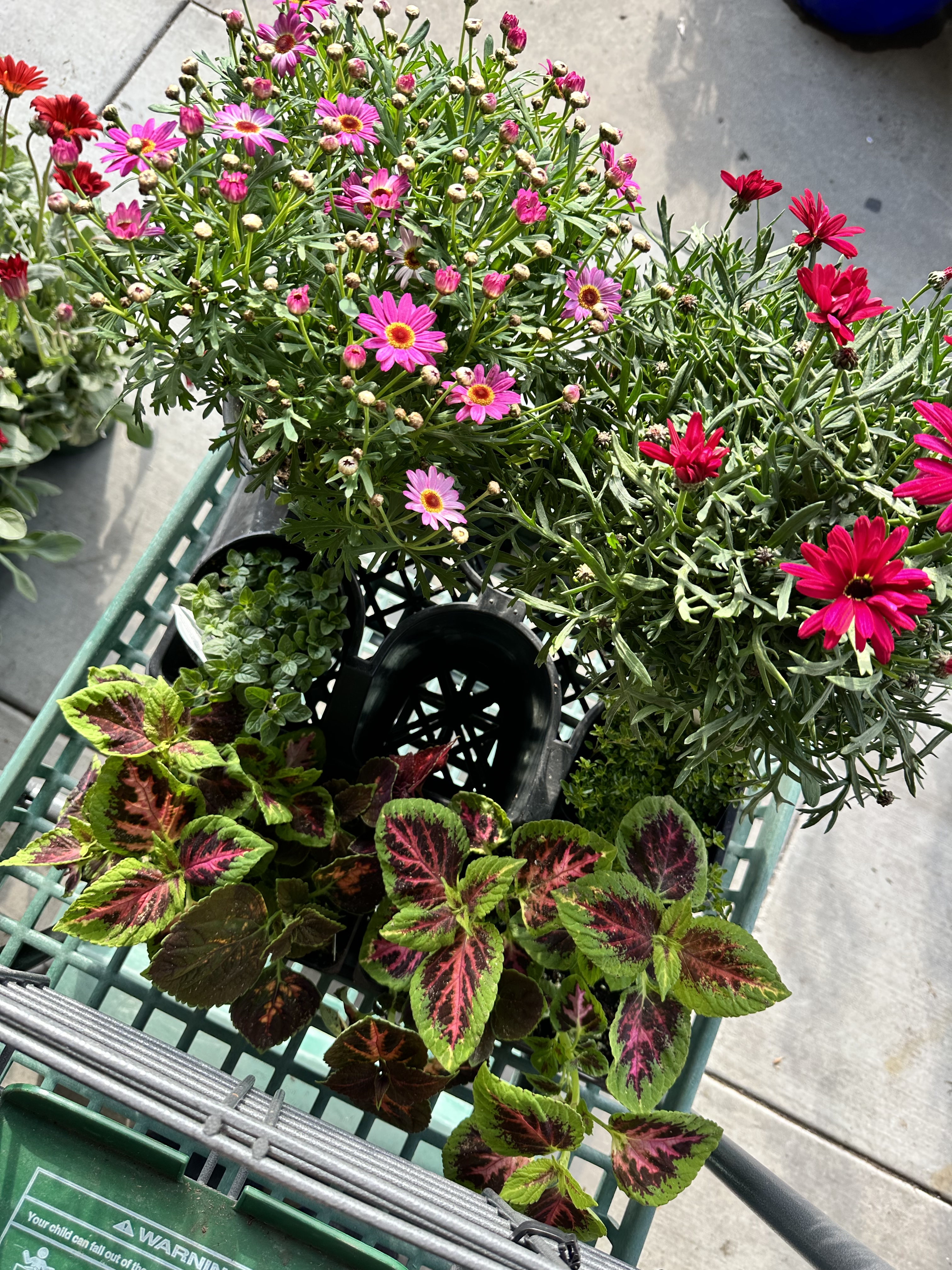 05188CEF-031C-4C80-8513-6CC538600B23