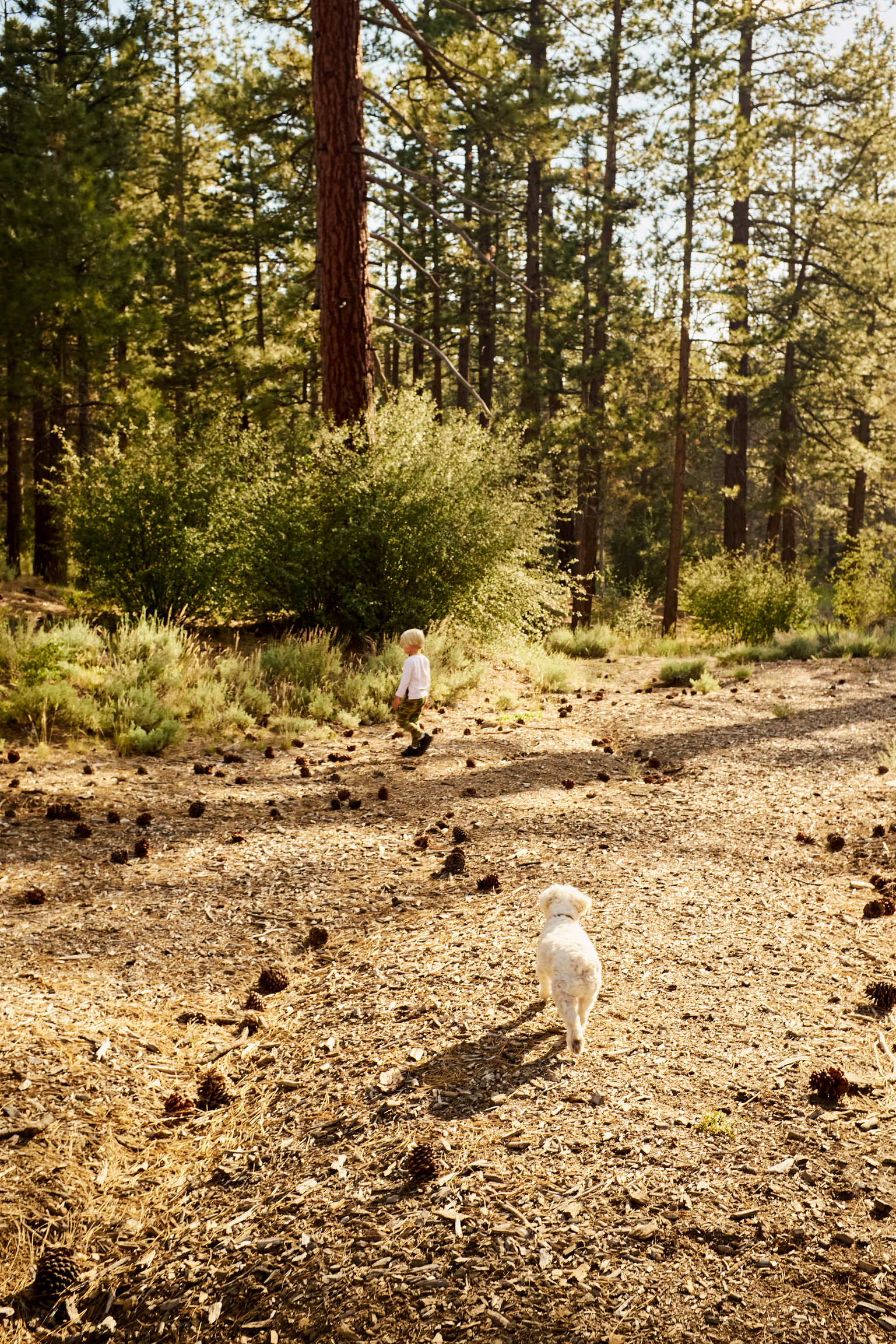 FD3BC12E-7169-4DBC-8039-82F70E635C8A