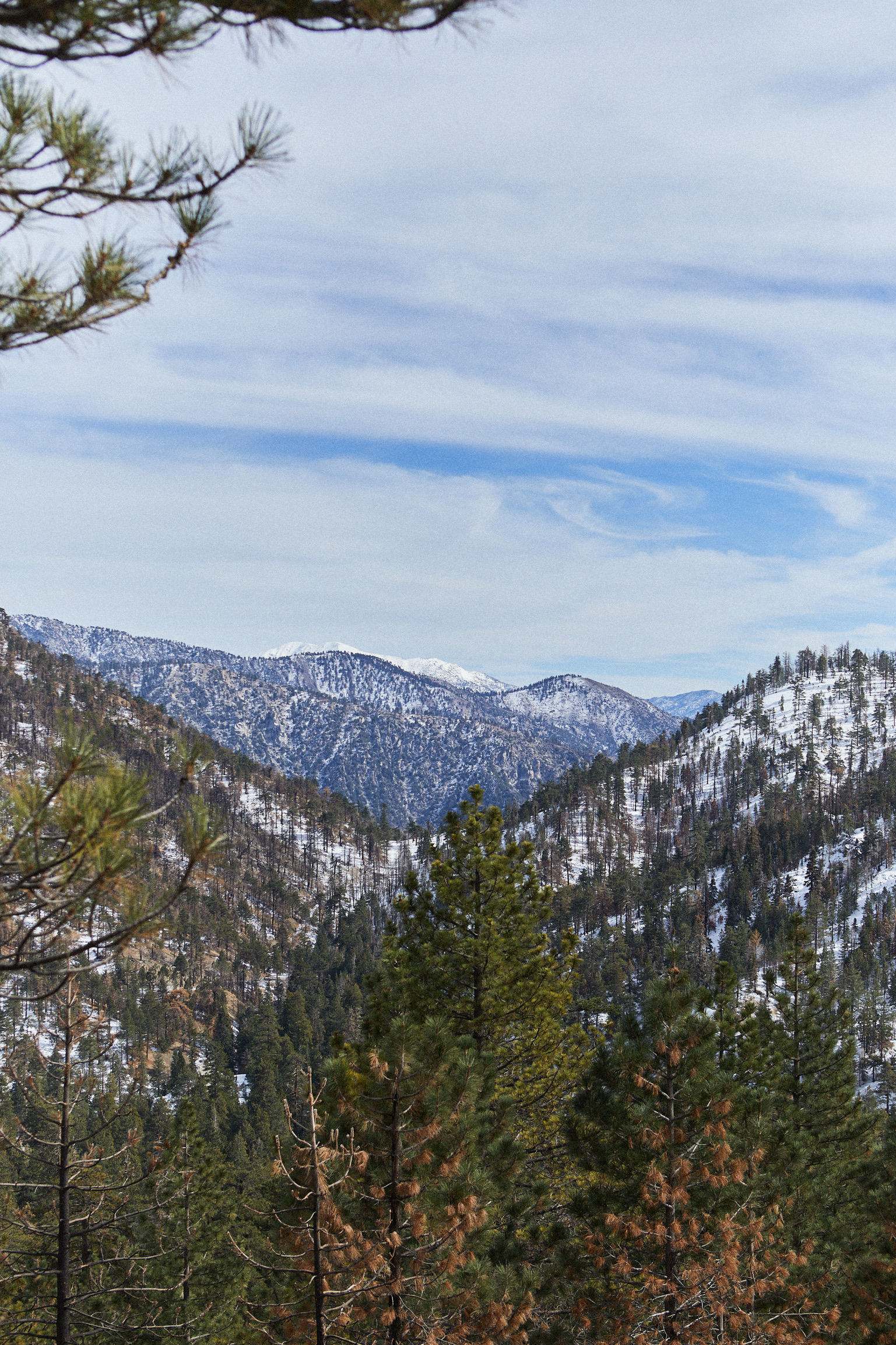 BBFC887F-3AFD-468F-A1EC-706A61F4973A