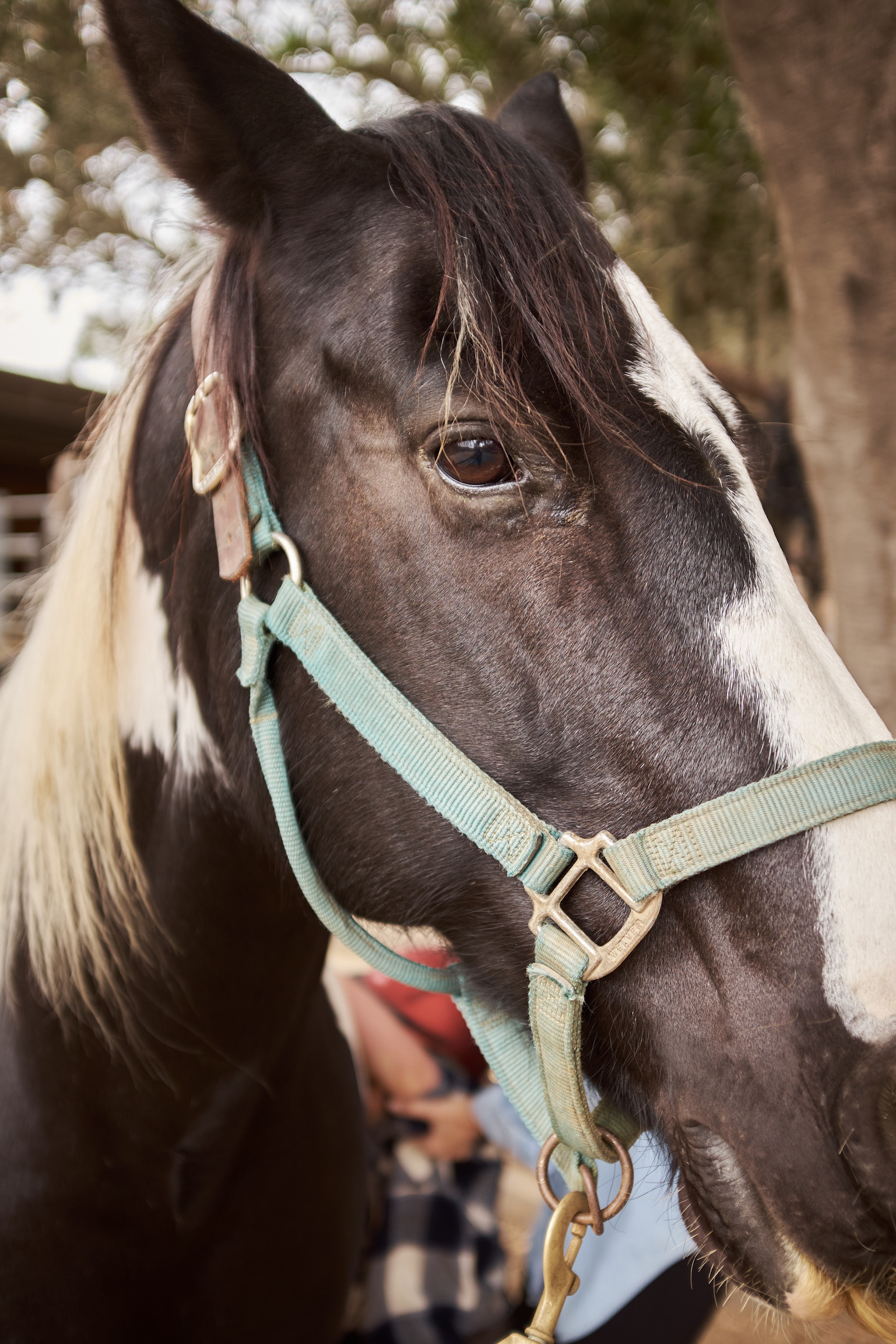 45192FF6-45F1-40F8-A61E-6853976CED10