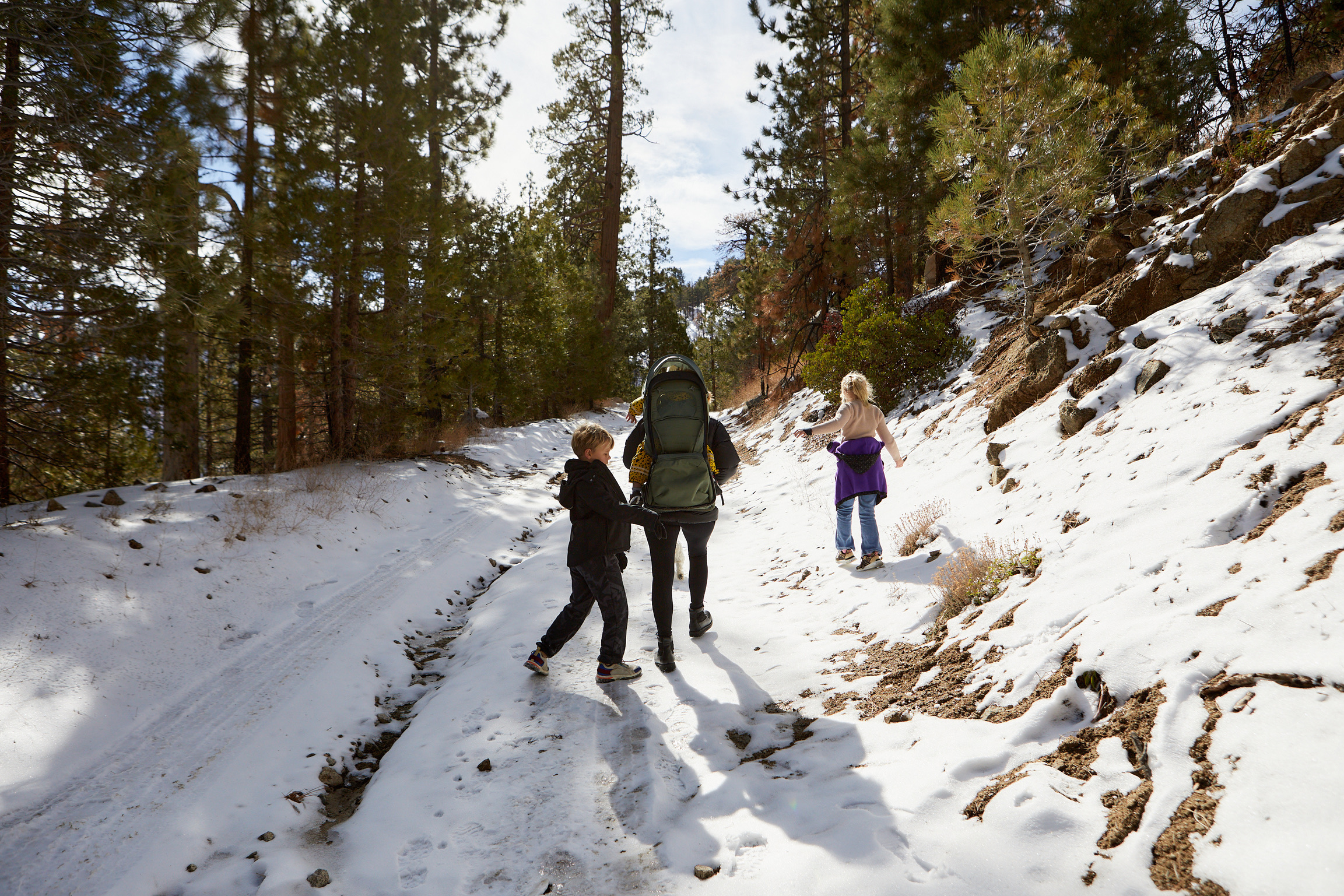 726D29DA-3577-484D-A59D-0109AF6AE584