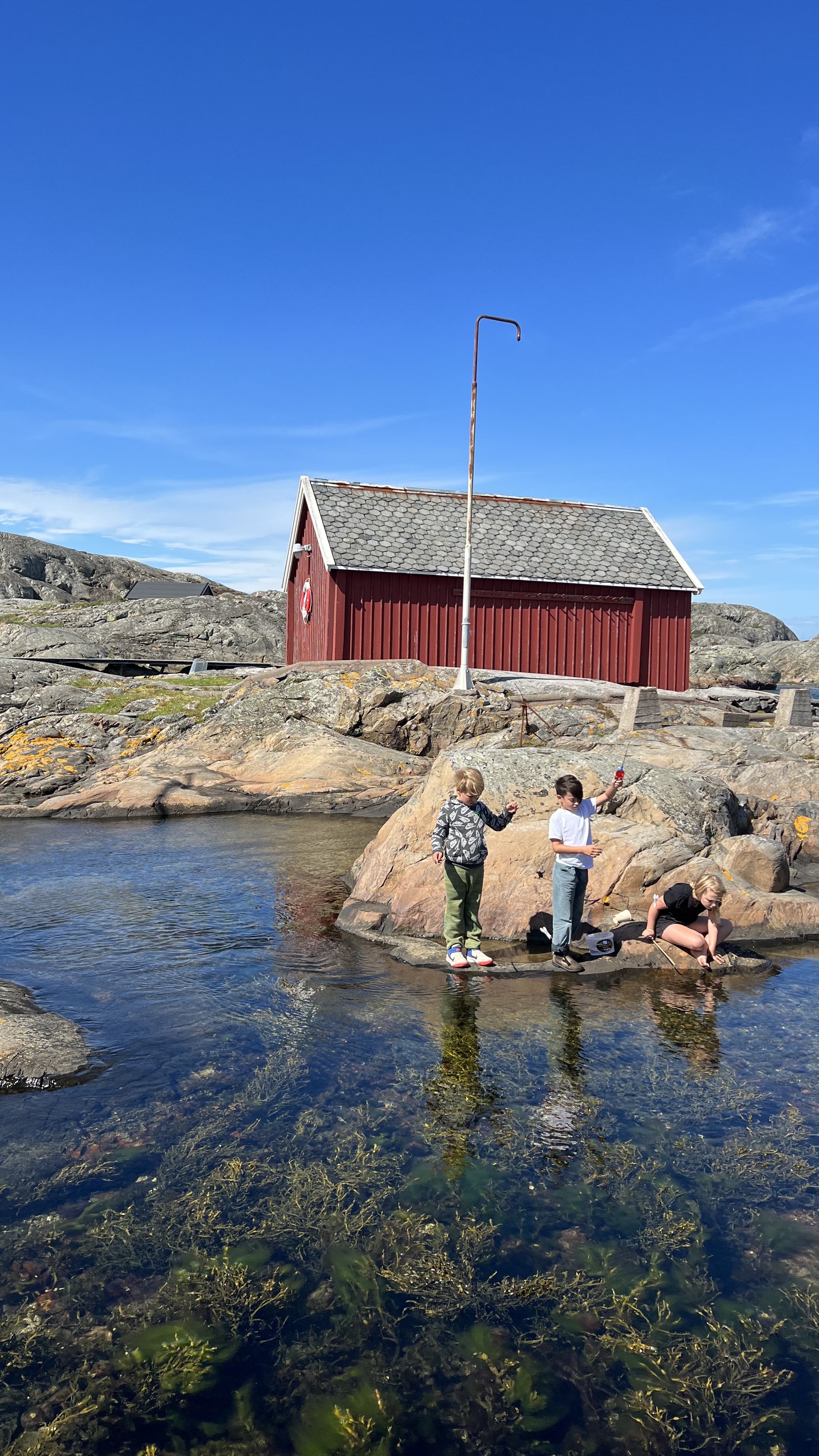 B6D34CC8-6254-46E8-A1C6-0C68D26112E4