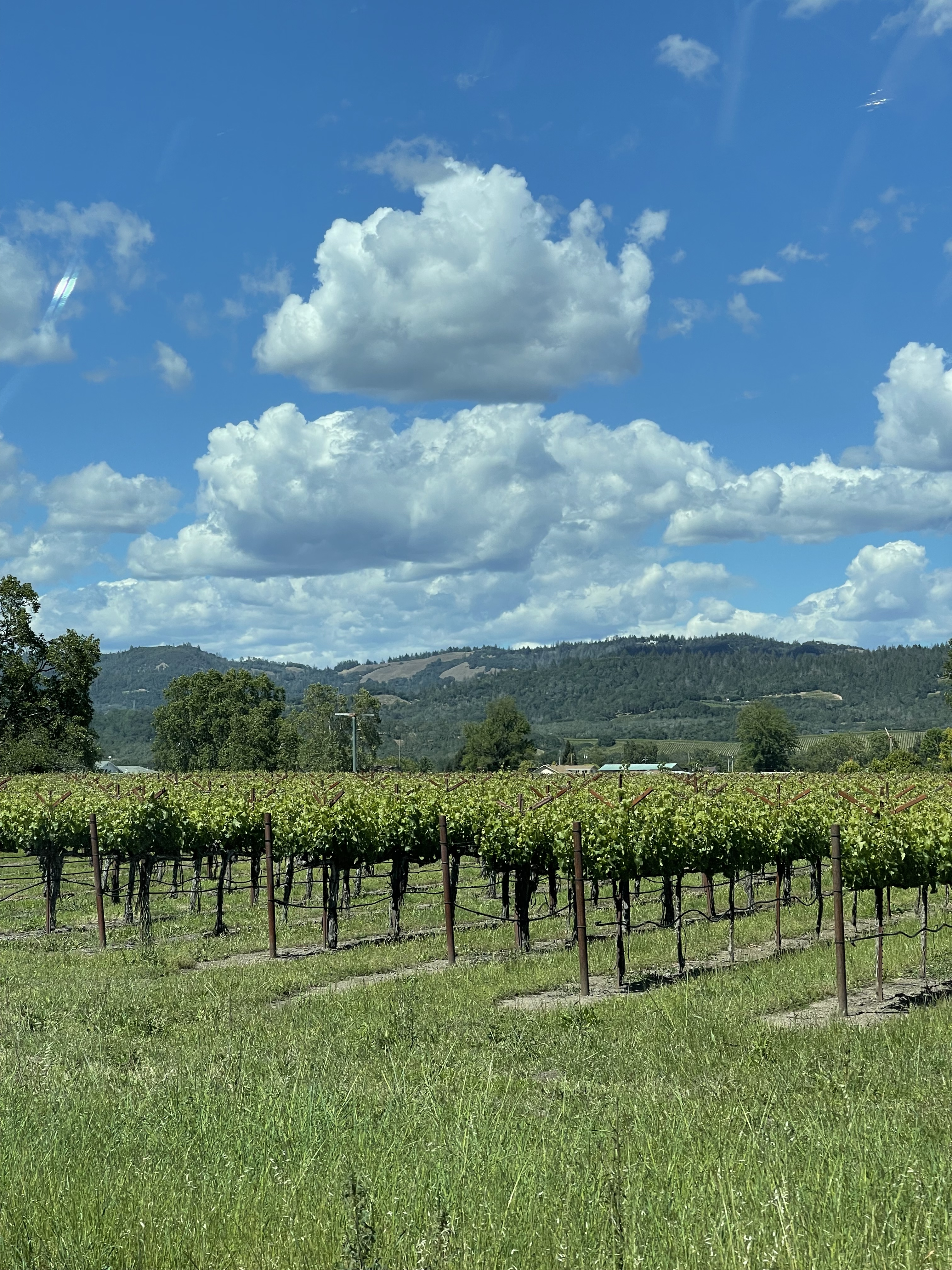 A156CDF2-5D5A-4A2A-856F-02502D1342D5