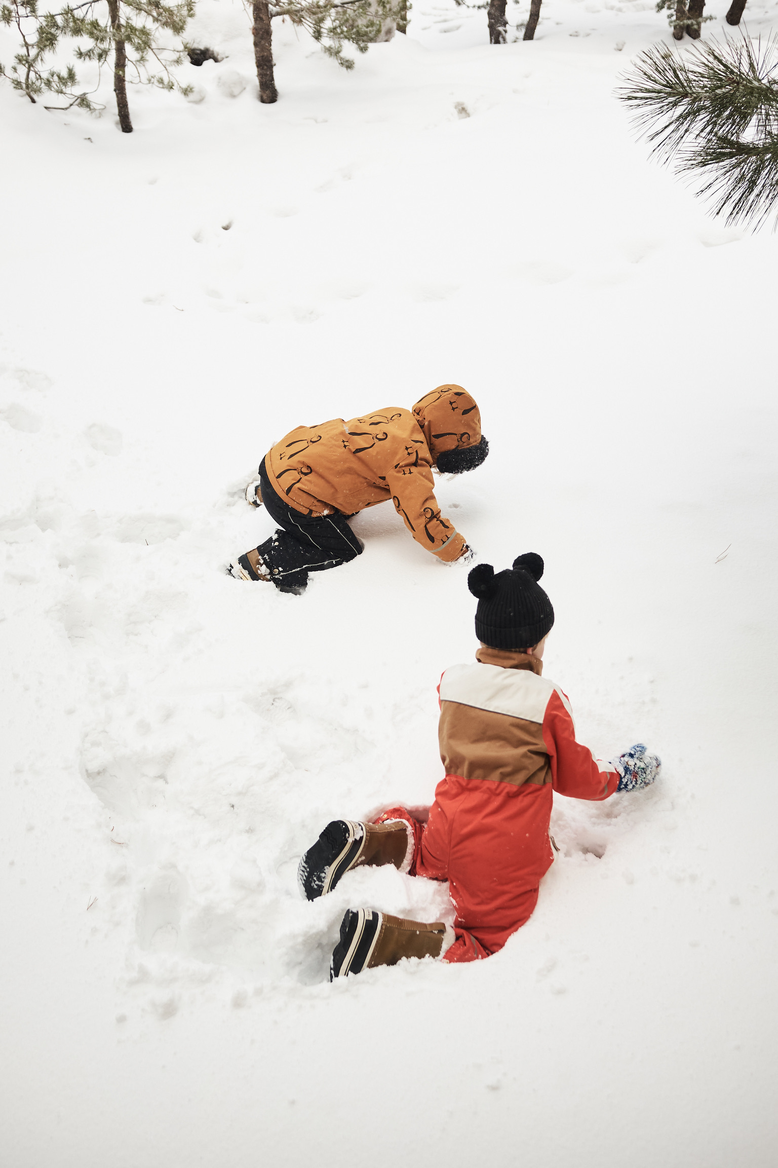 36F15EA0-757D-4F5E-B4C8-67EA77E4E052