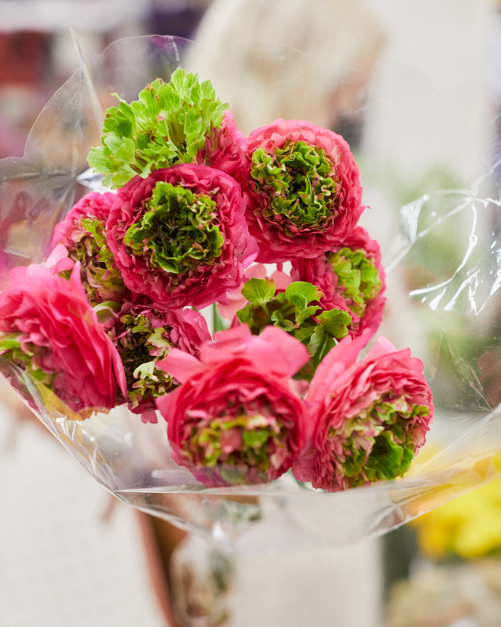 B2D6DED8-DCB9-45C4-9B8D-3F7AF64C4CCB