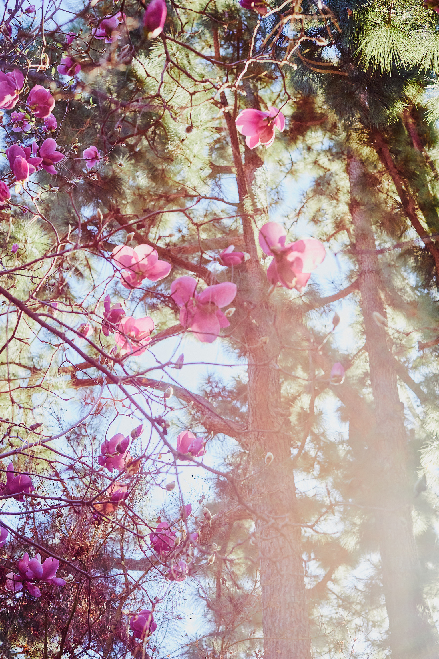 D598BED2-DAC4-4808-A3F5-9B7447504F90