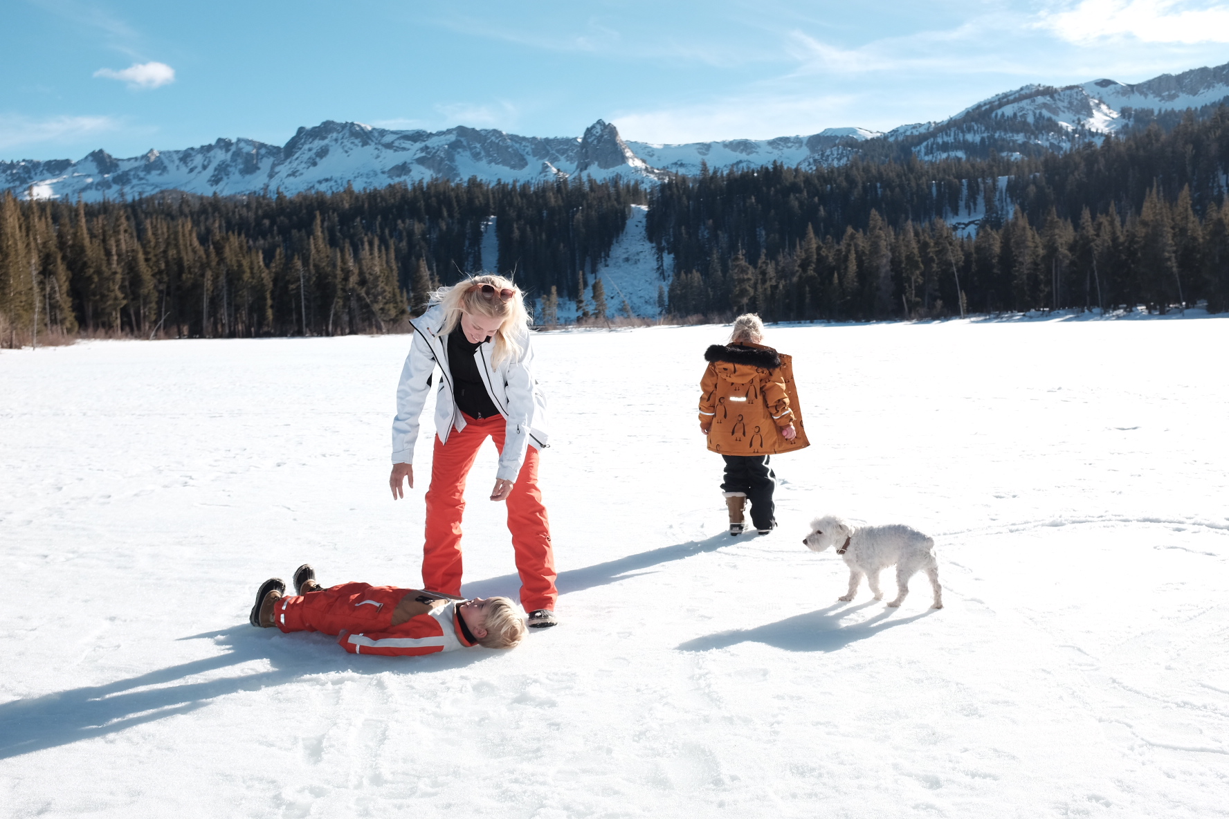 7495D1CF-756E-44EF-A3EC-EE696C68460A-1383-000000B9C136AEF7