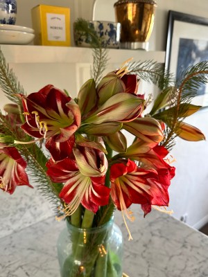 DA4B2B20-3F05-4691-81F1-96F50C588CA6