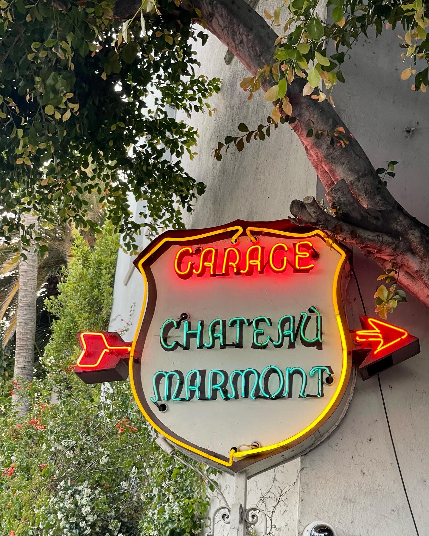 8531B052-95BE-40AC-89A0-BE65DFB88A2E