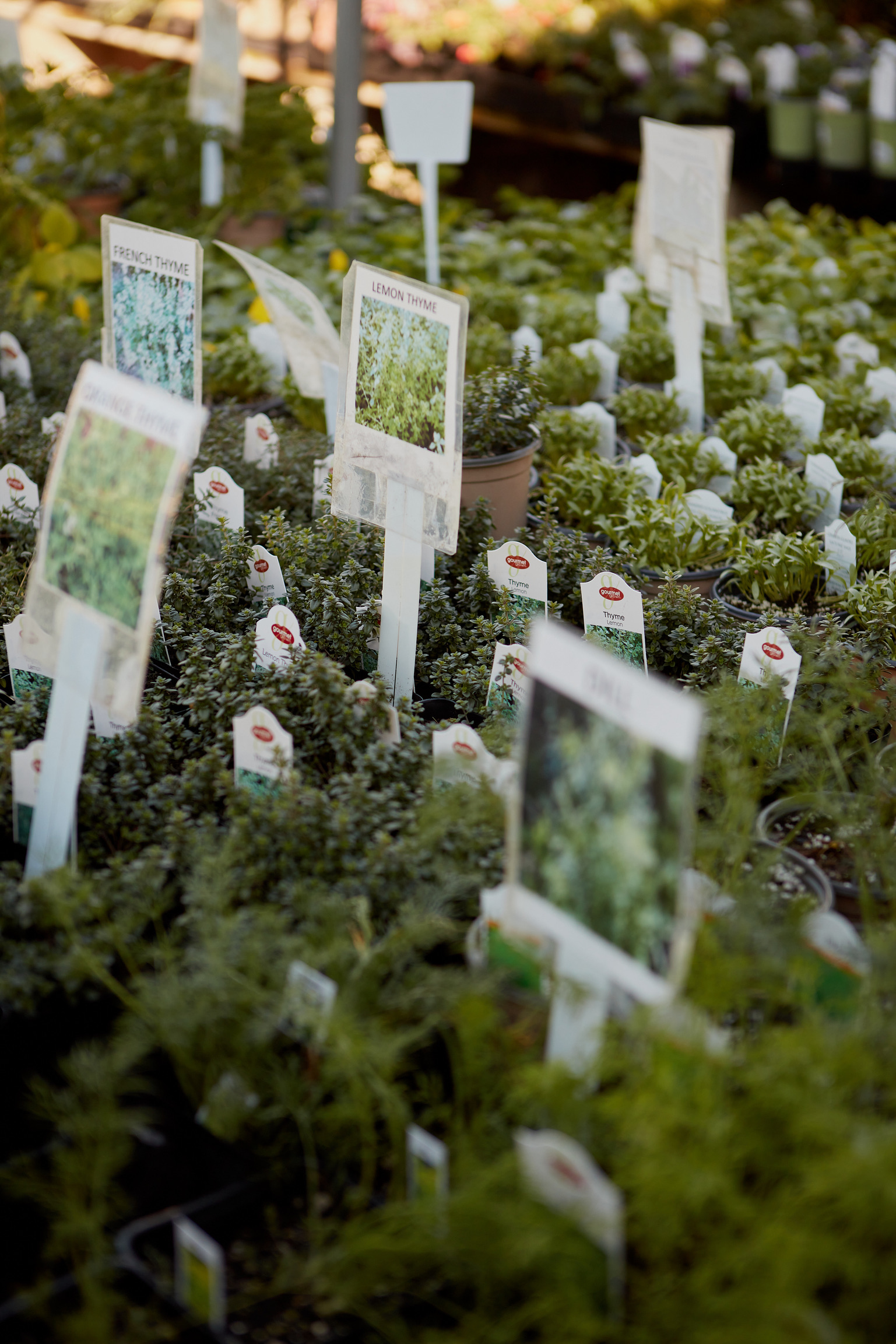 C8578B2C-68C1-43E3-A884-95BBC55C0258