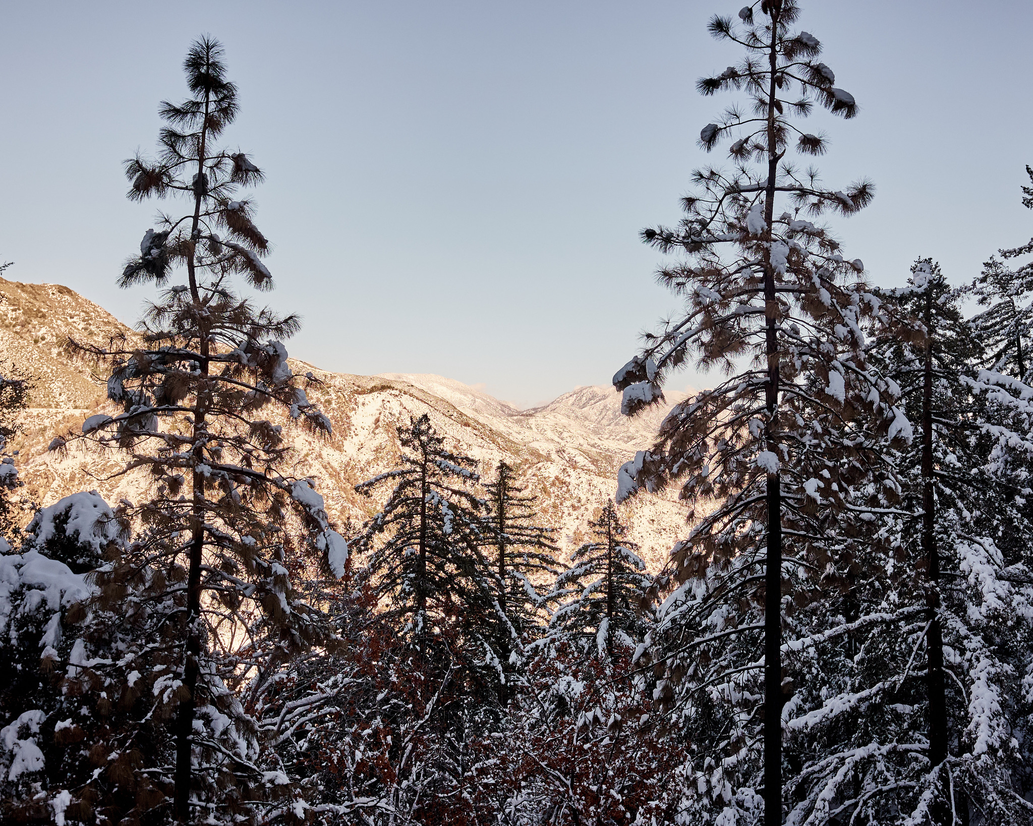 728EE83A-9063-4ED4-8FE5-4AA54CBC808C