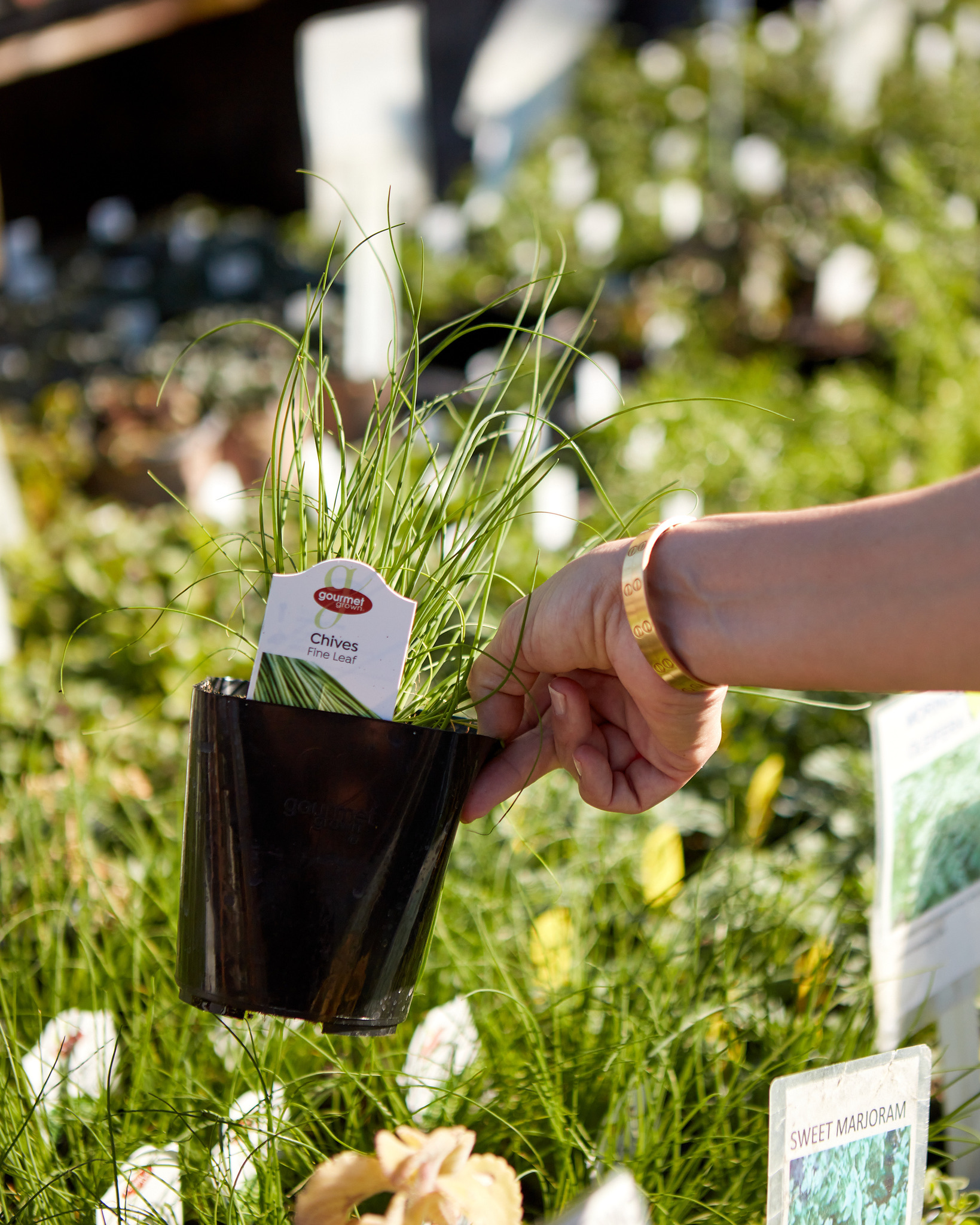 FBD1108A-E317-4C63-A86B-8F7B46A5CB13 2