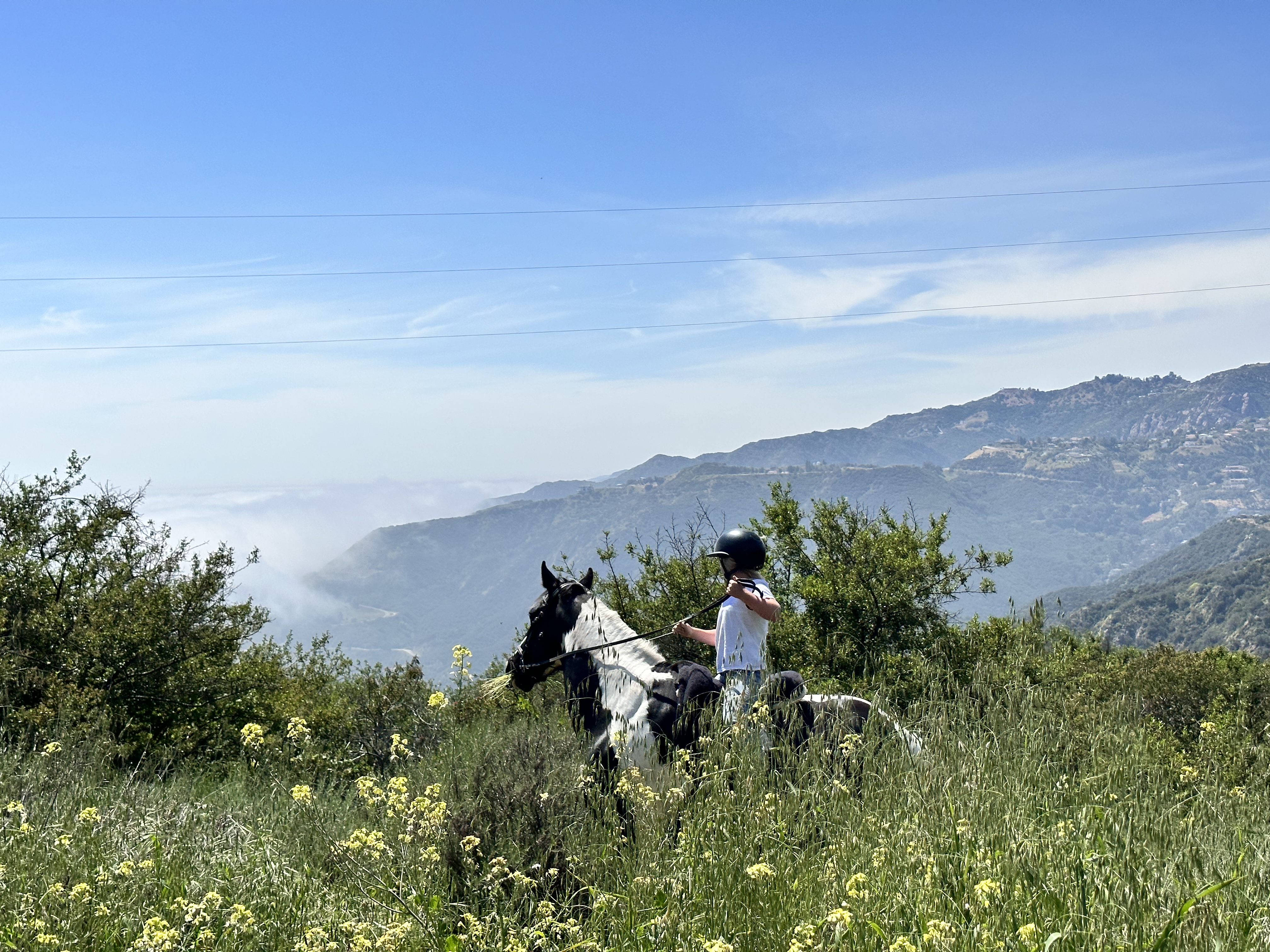 0D65858F-8235-404E-A88B-1212E865BAFC