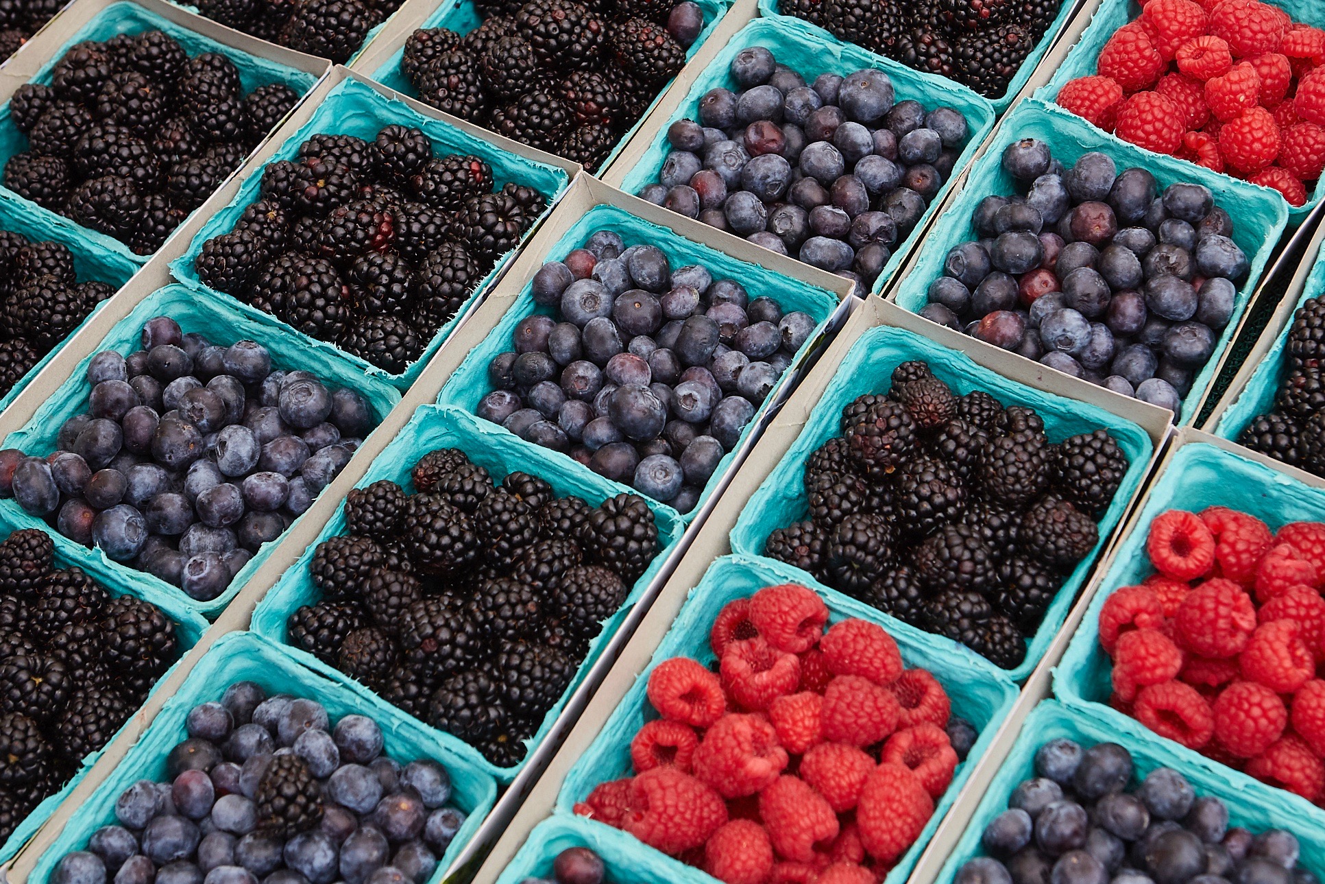 Untitled Job__S1_7497