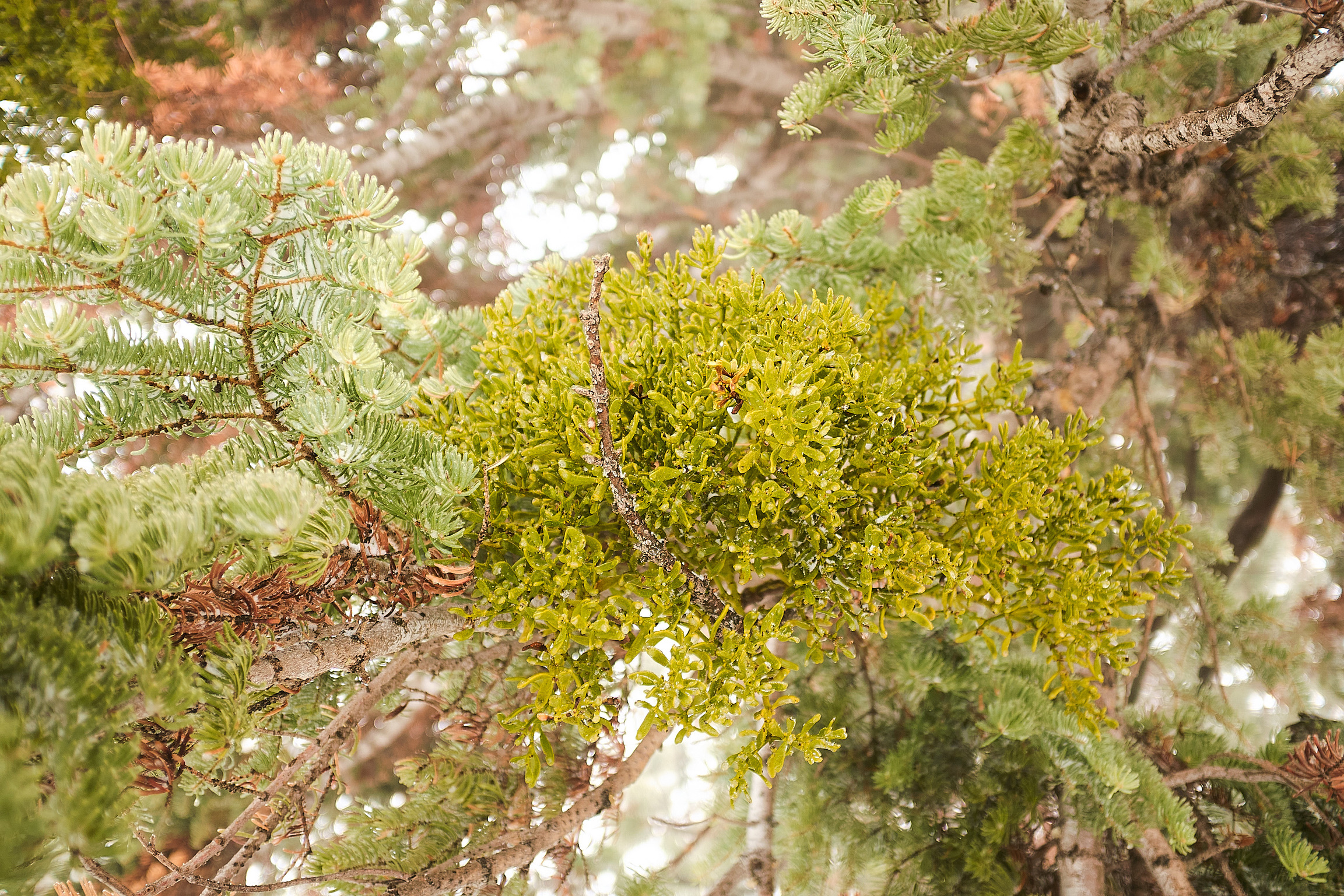 F9084EF1-273B-4F72-AFC4-D019B39D6E95