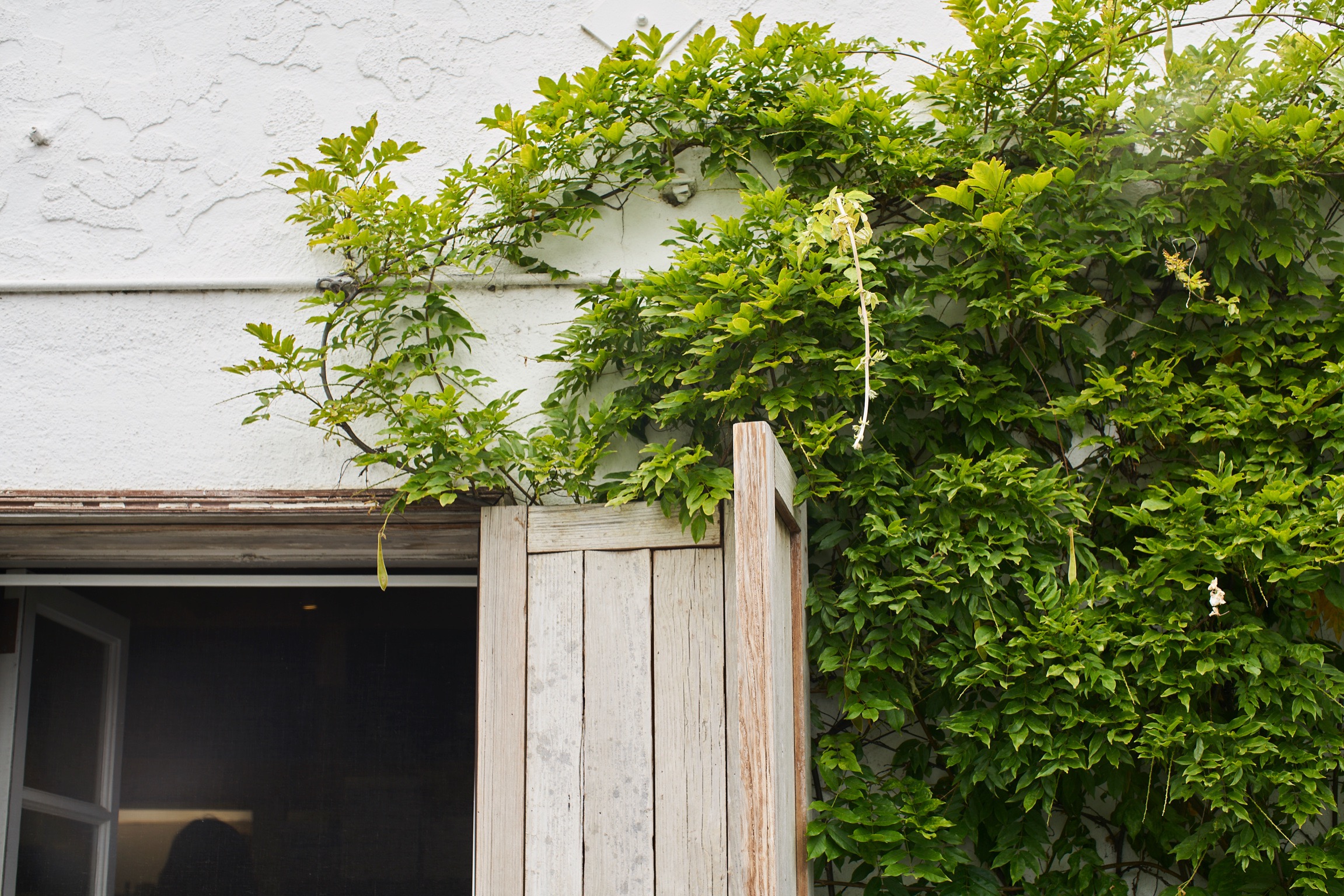 Untitled Job_DSC01483